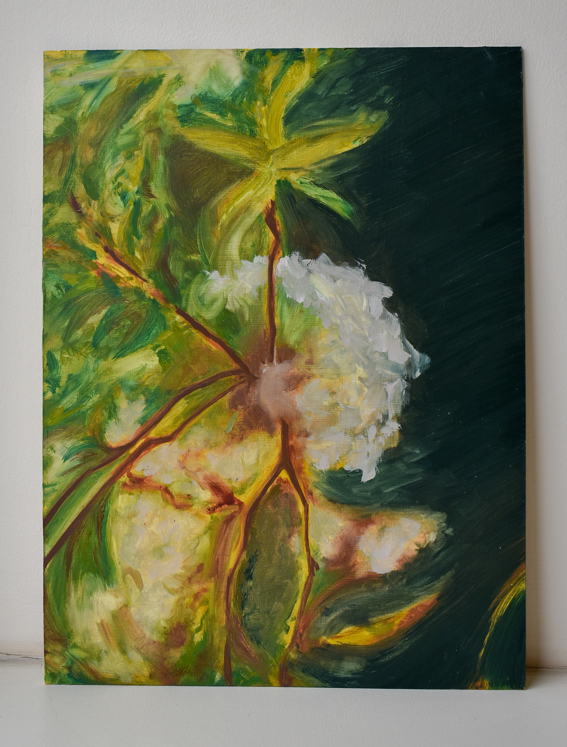 Cherry Blossoms. Oil on MDF board. 30 x 40cm. Not for Sale