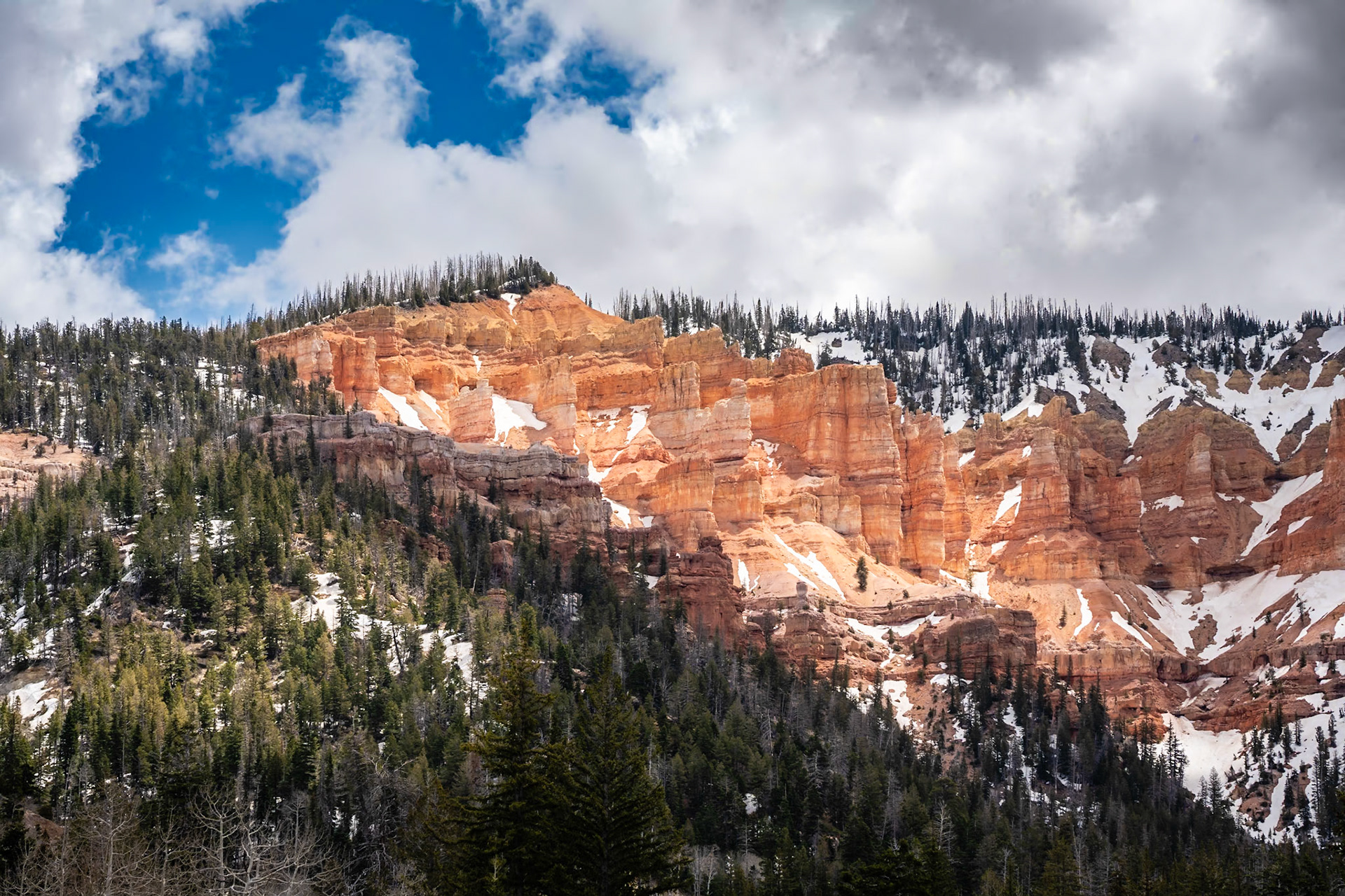 Dixie National Forest - Utah