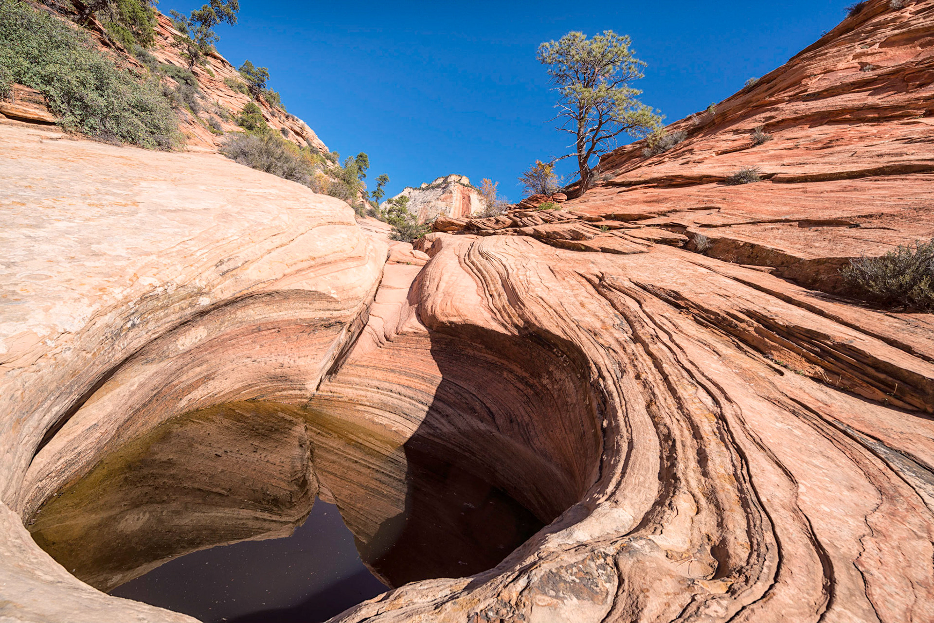 Zion National Park - Utah