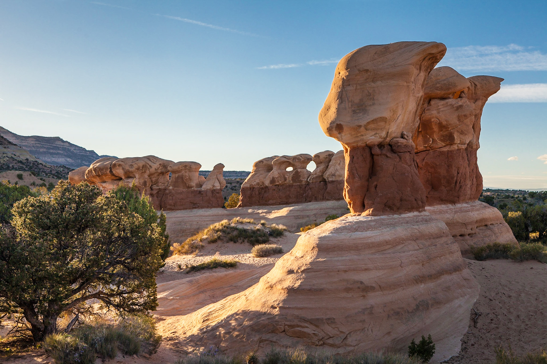 Devil's Garden - Grand Staircase Escalante-National Monument - Utah