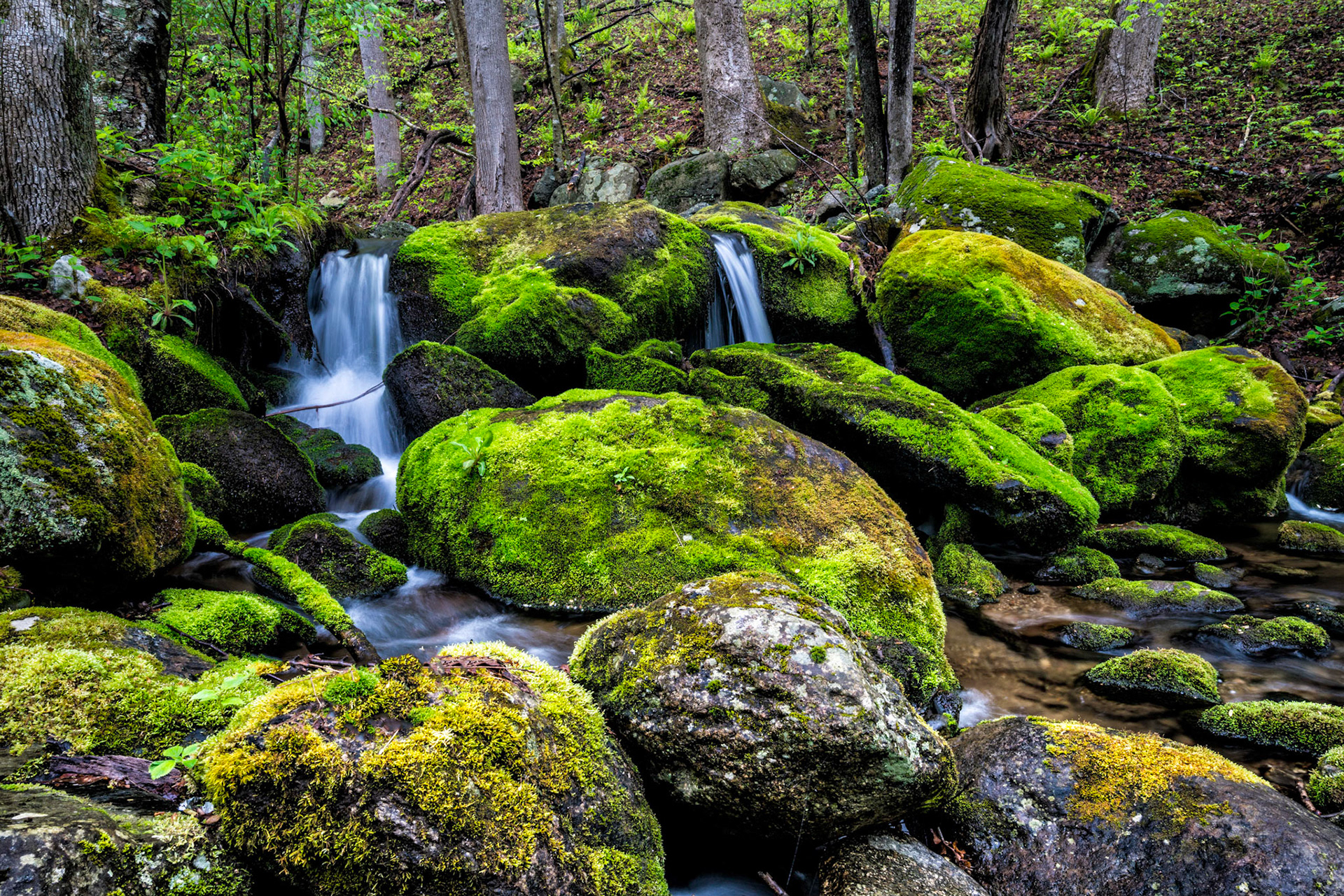 Staunton River, Shenandoah National Park