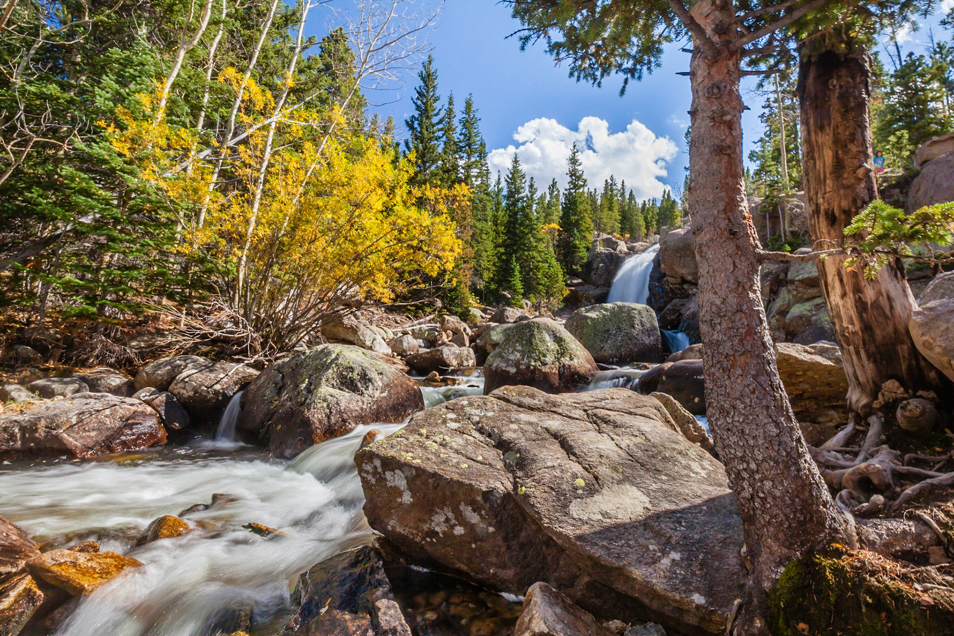 Alberta Falls - Rocky Mountain National Park