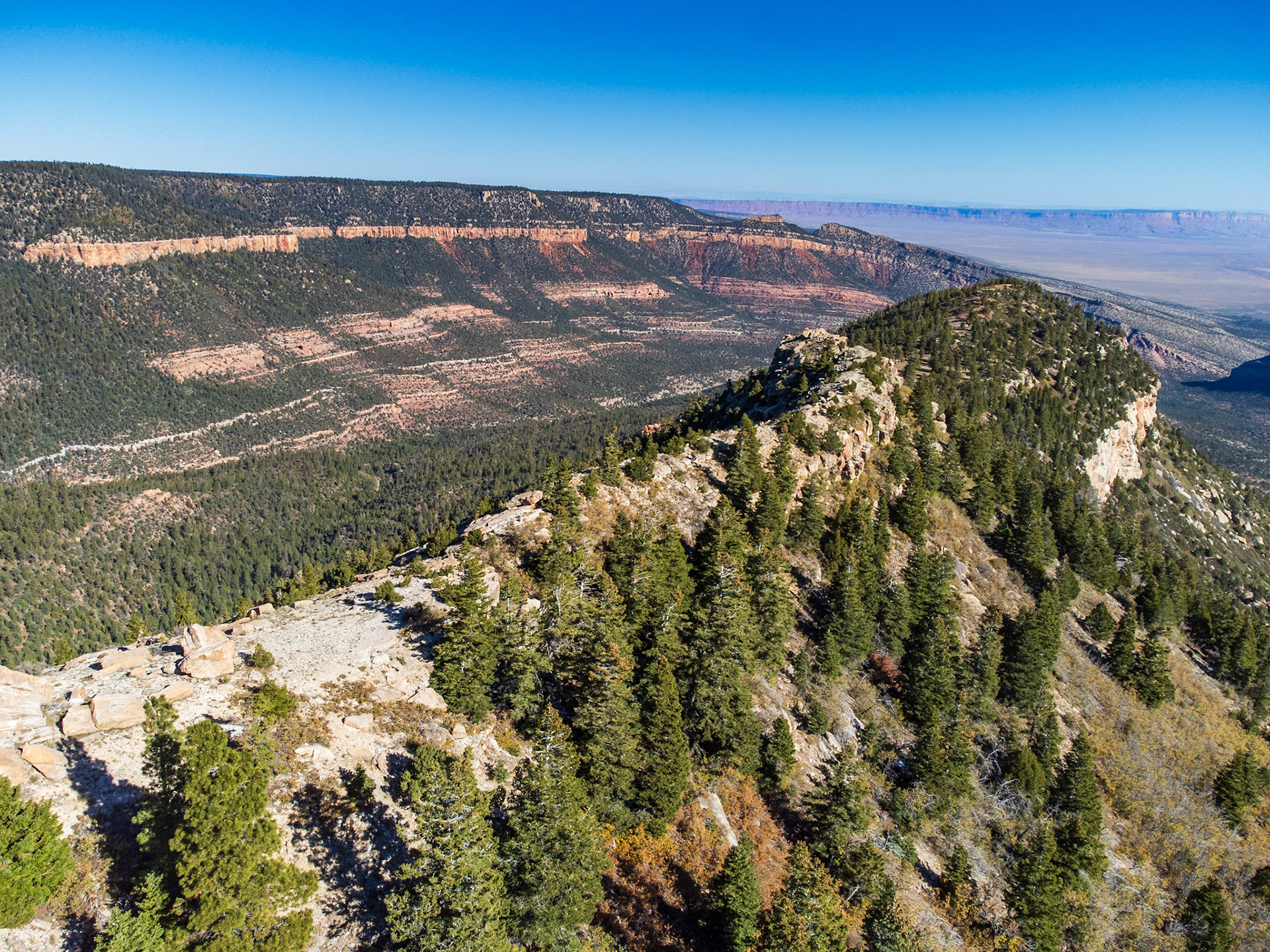 Kaibab National Forest - Arizona