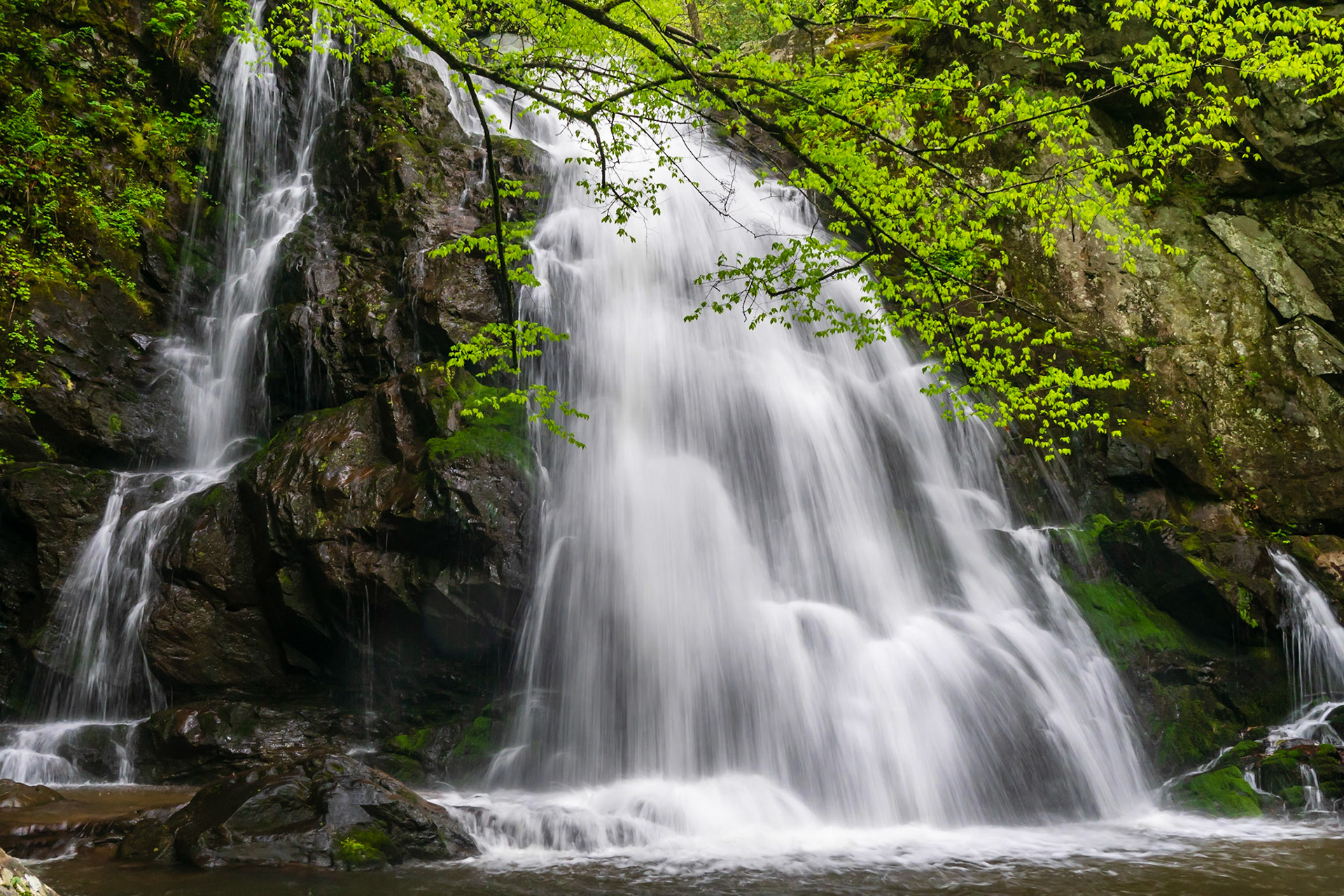 Spruce Flats Falls - Great Smokey Mountain National Park