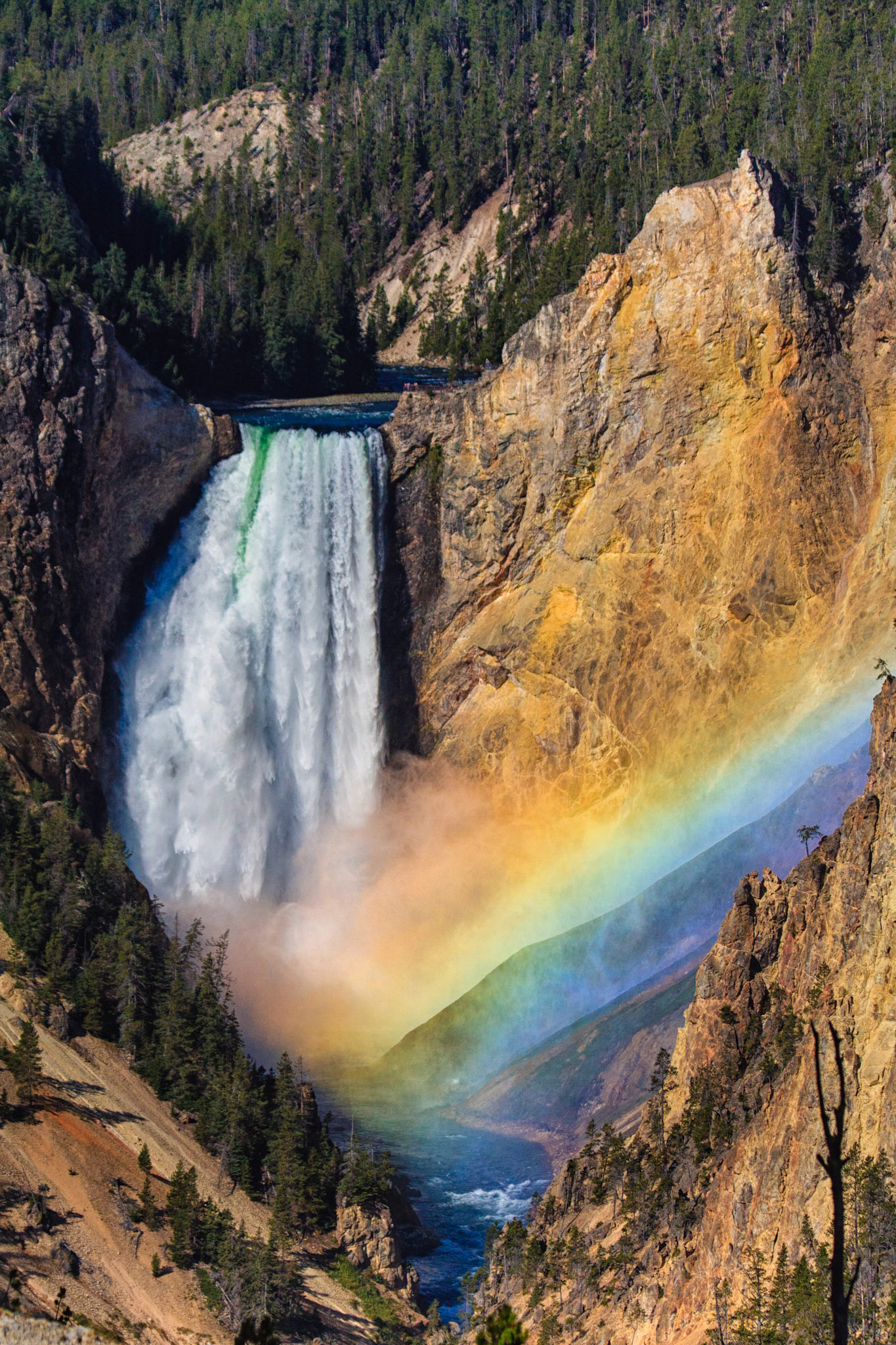Lower Falls, Yellowstone National Park