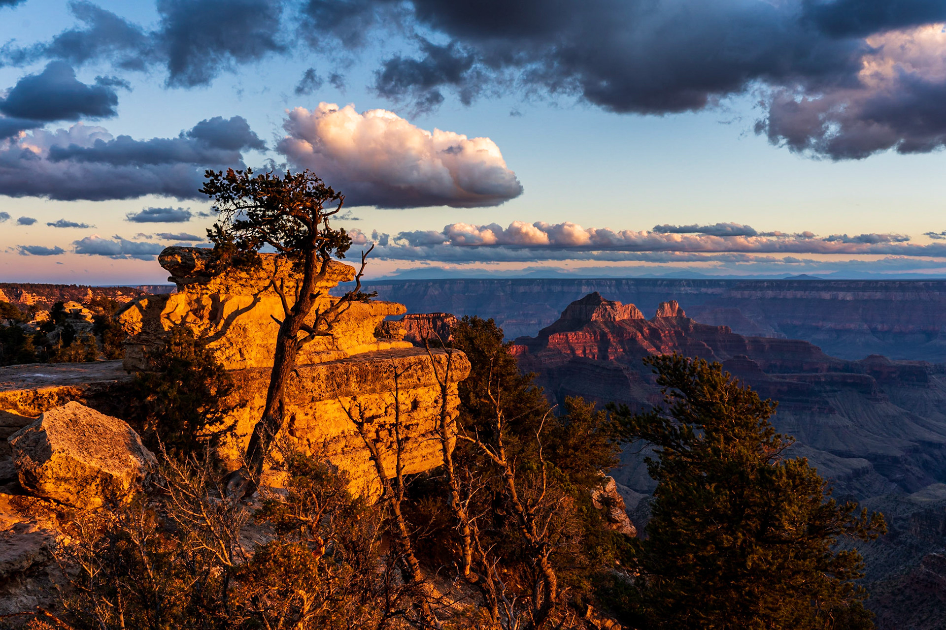 North Rim, Grand Canyon National Park, Arizona