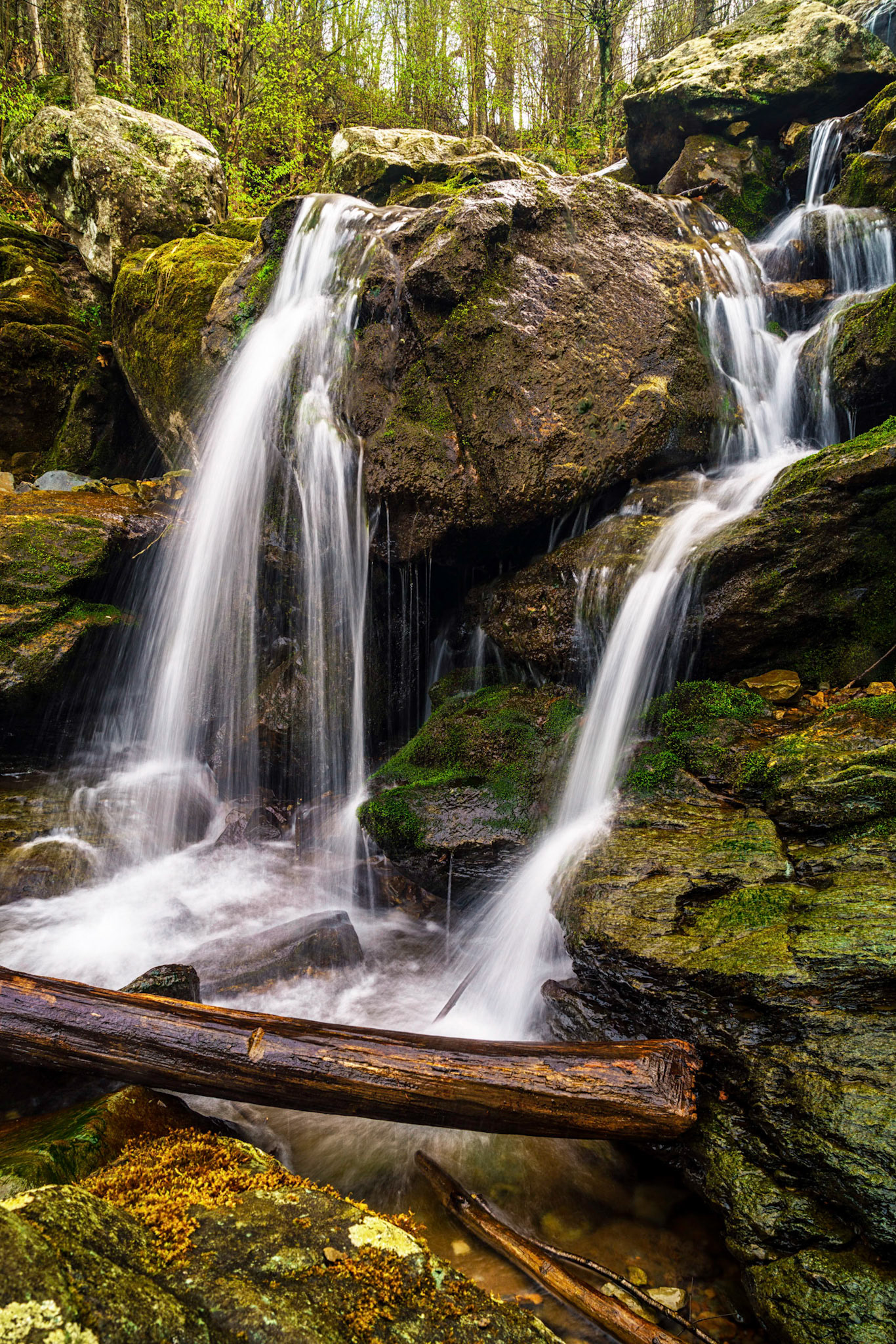 Shenandoah National Park