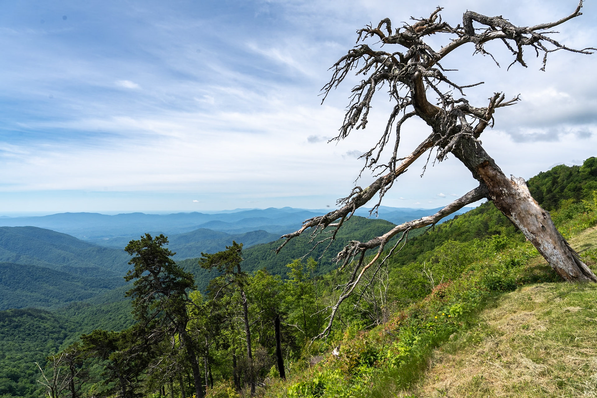 Blue Ridge Parkway National Park - North Carolina