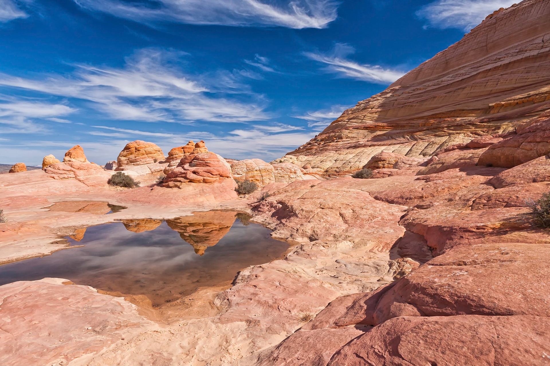 North Coyote Buttes - Vermilion Cliffs National Monument