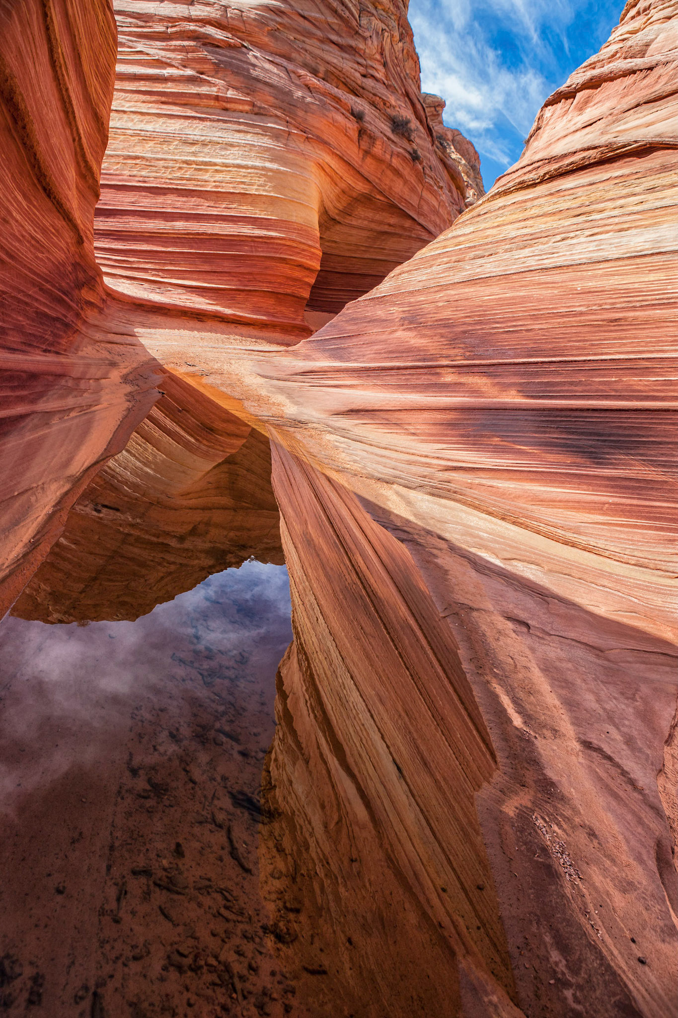 Vermilion Cliffs National Monument, Arizona