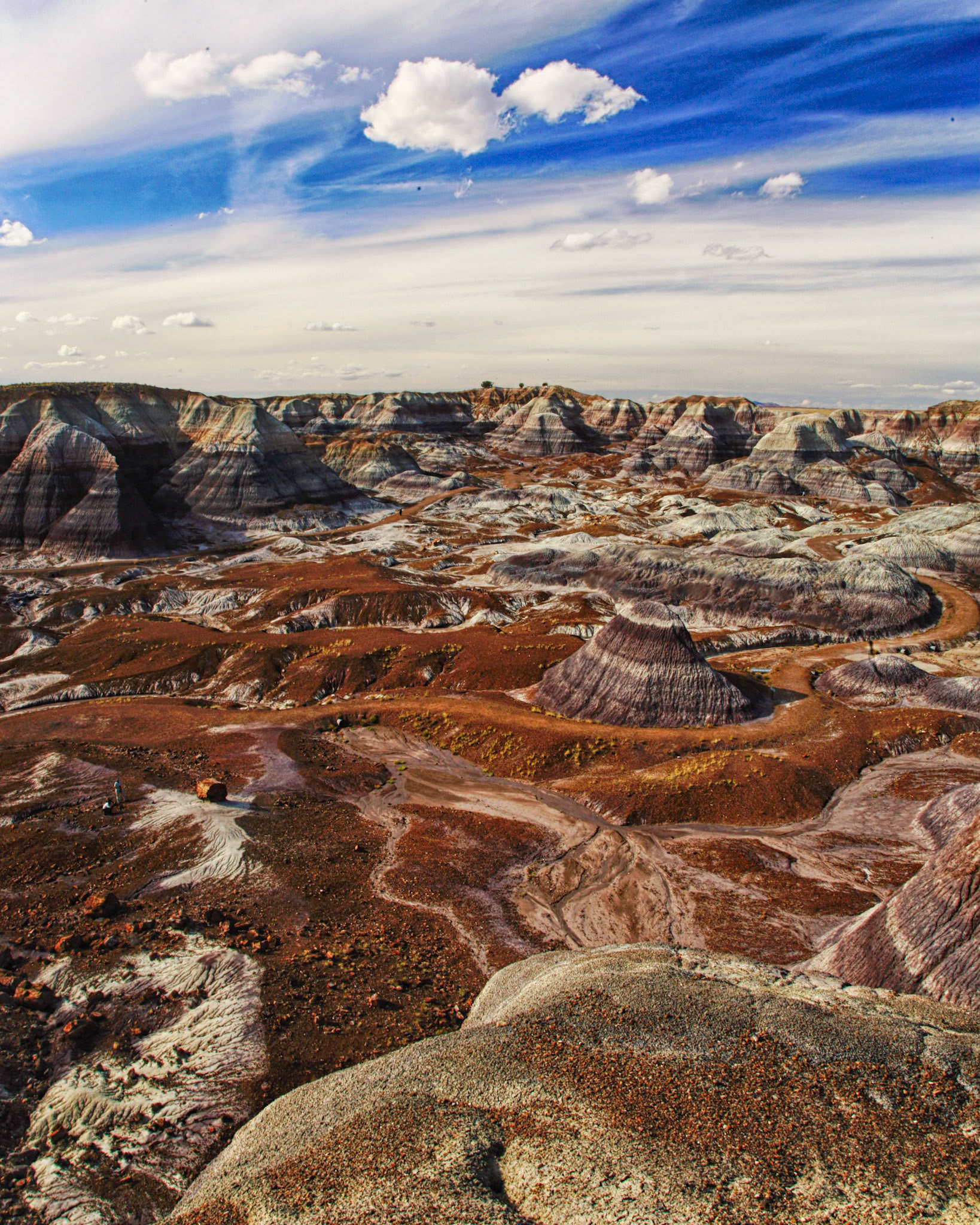 Petrified Forest National Park - Arizona