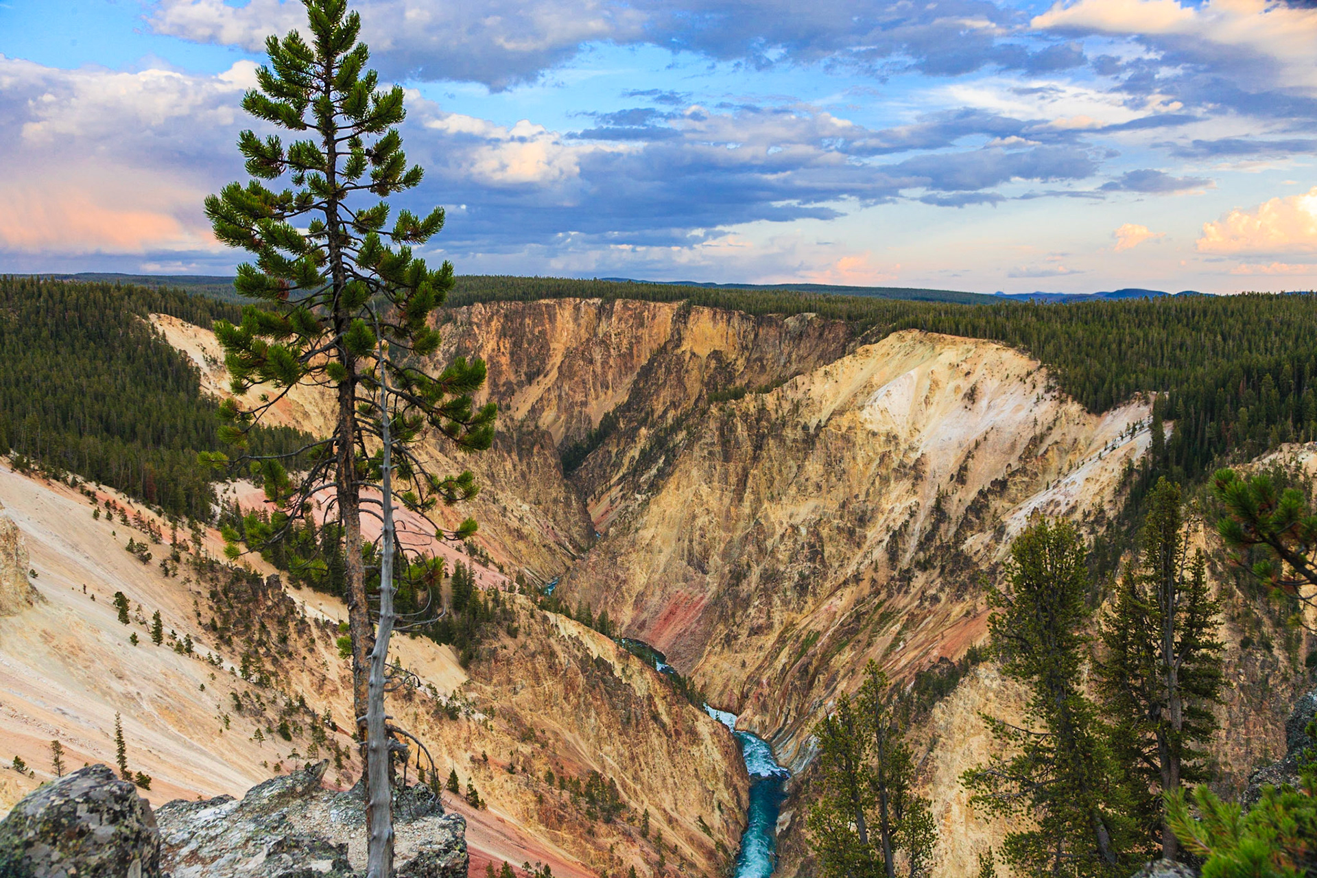 Yellowstone National Park - Wyoming