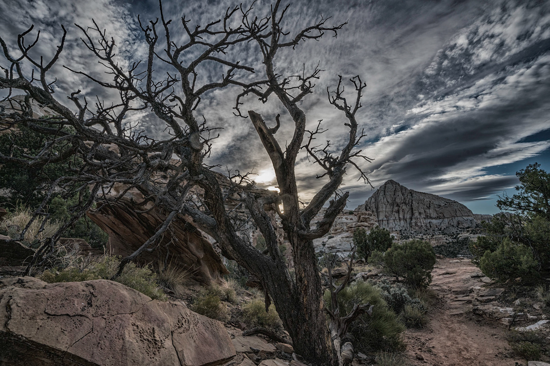 Hickman Bridge Trail - Capital Reef National Park
