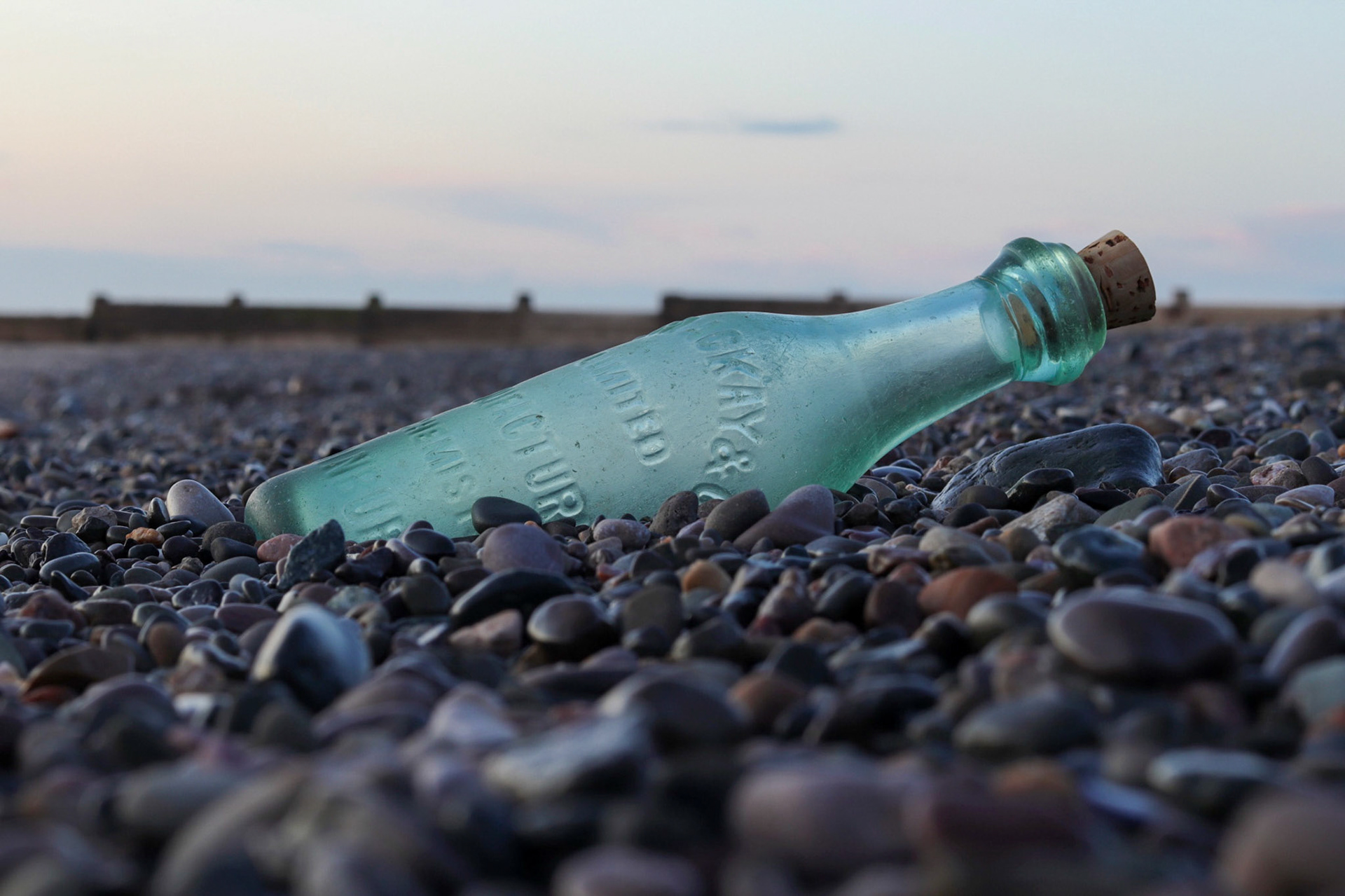 Look what the tide washed up