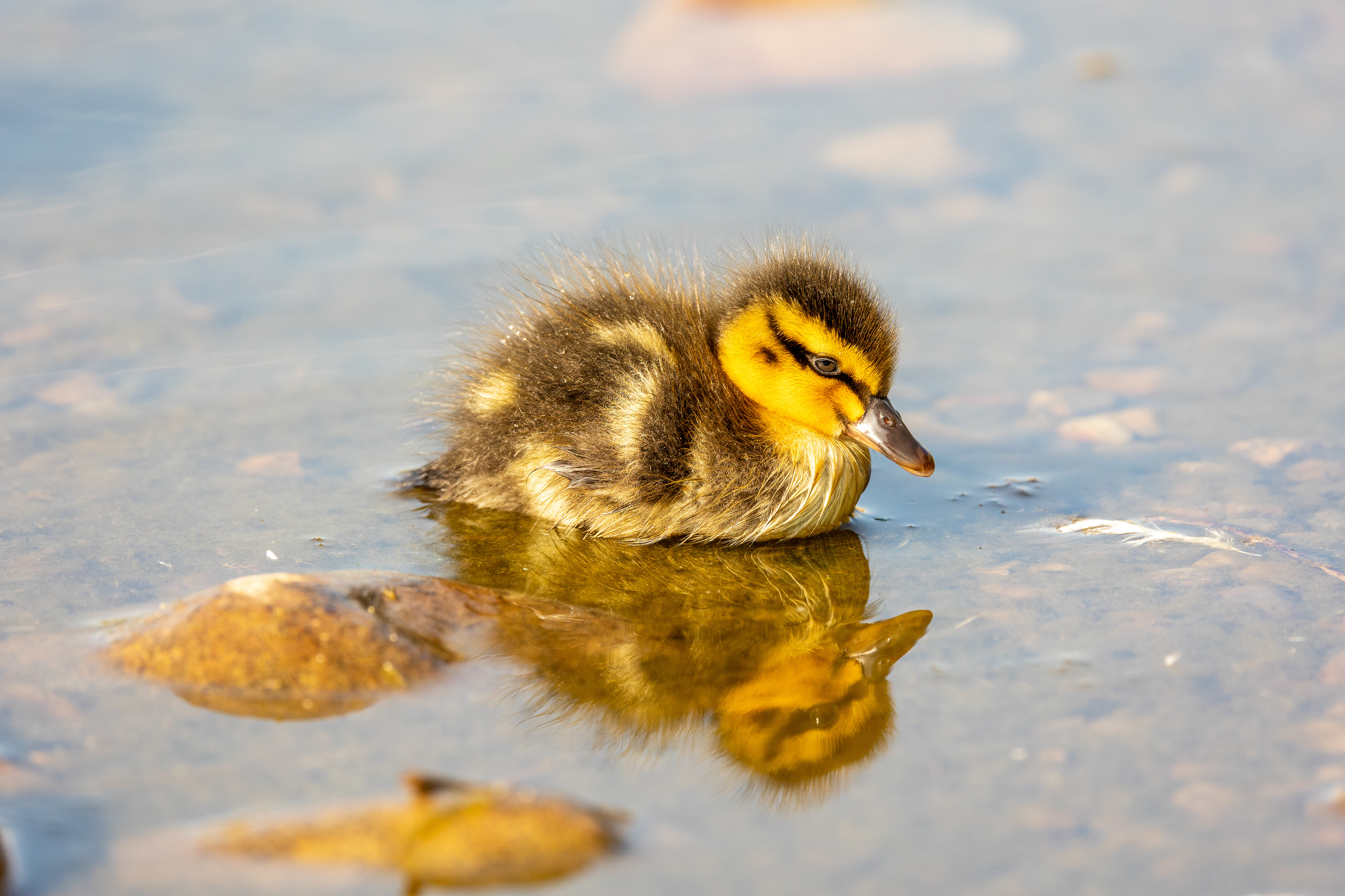 Reflecting on life