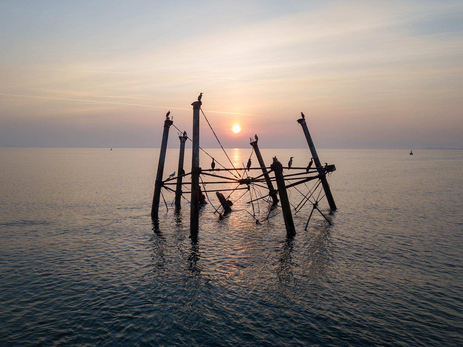 Cormorant castle