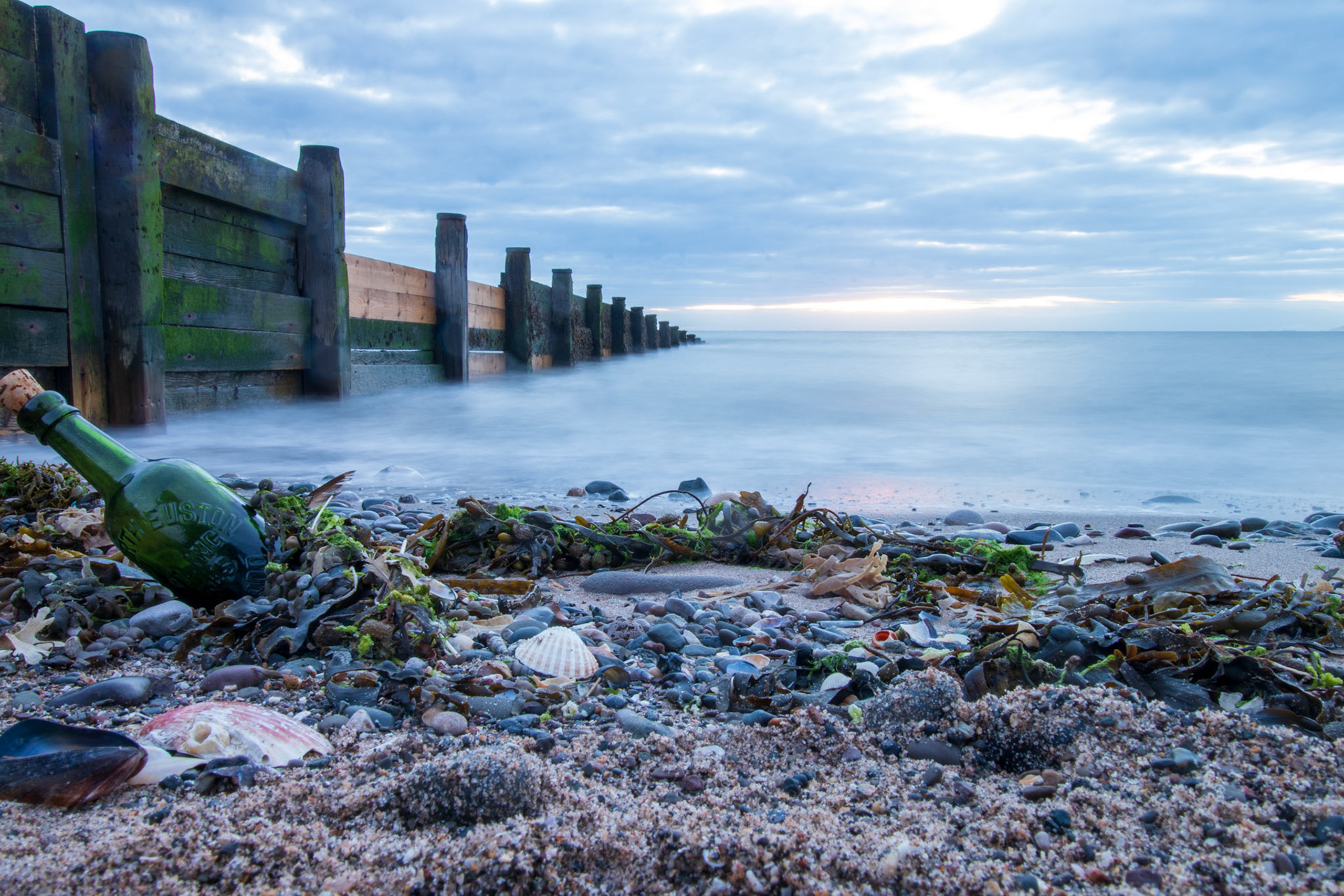 Washed ashore