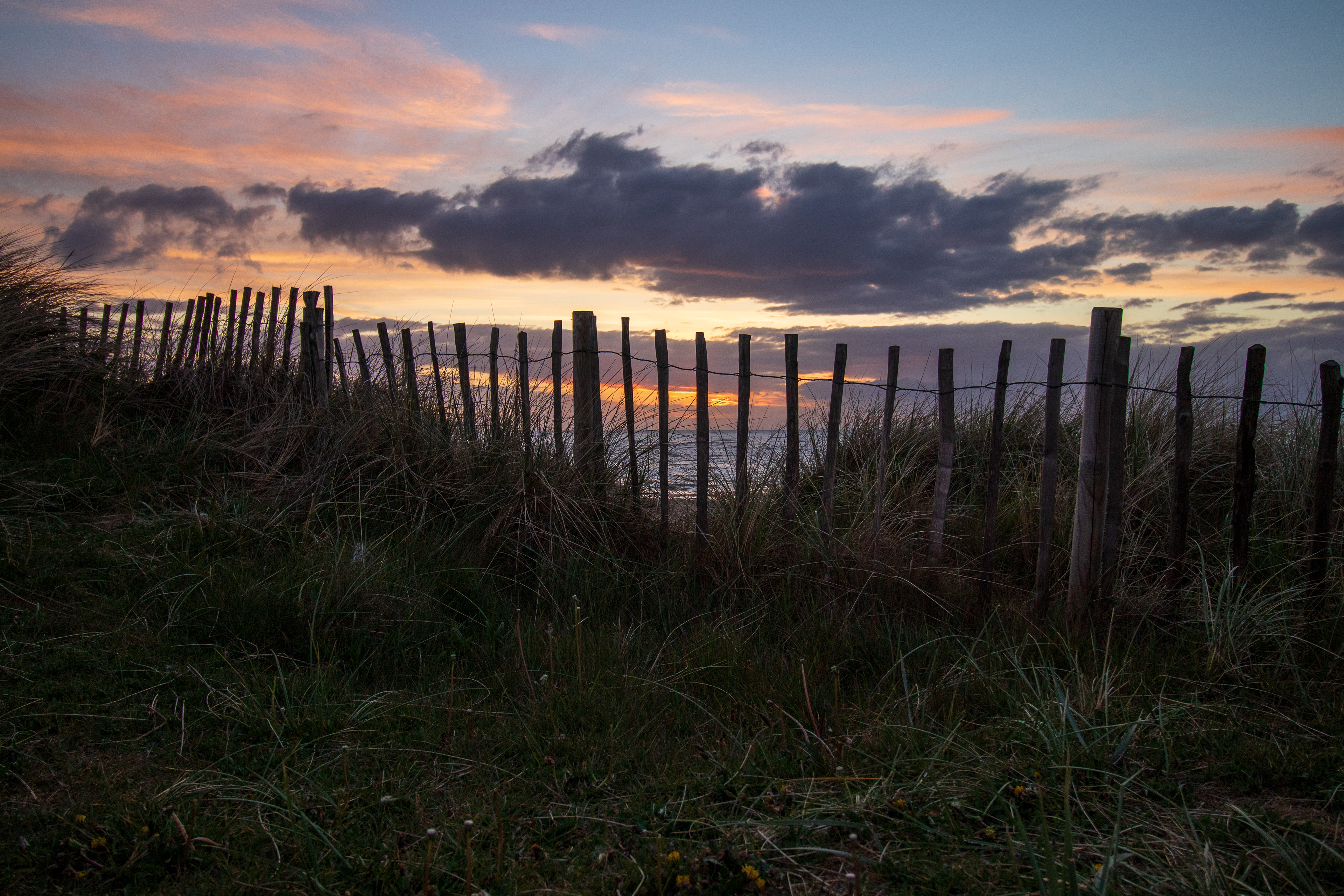 Fenced in