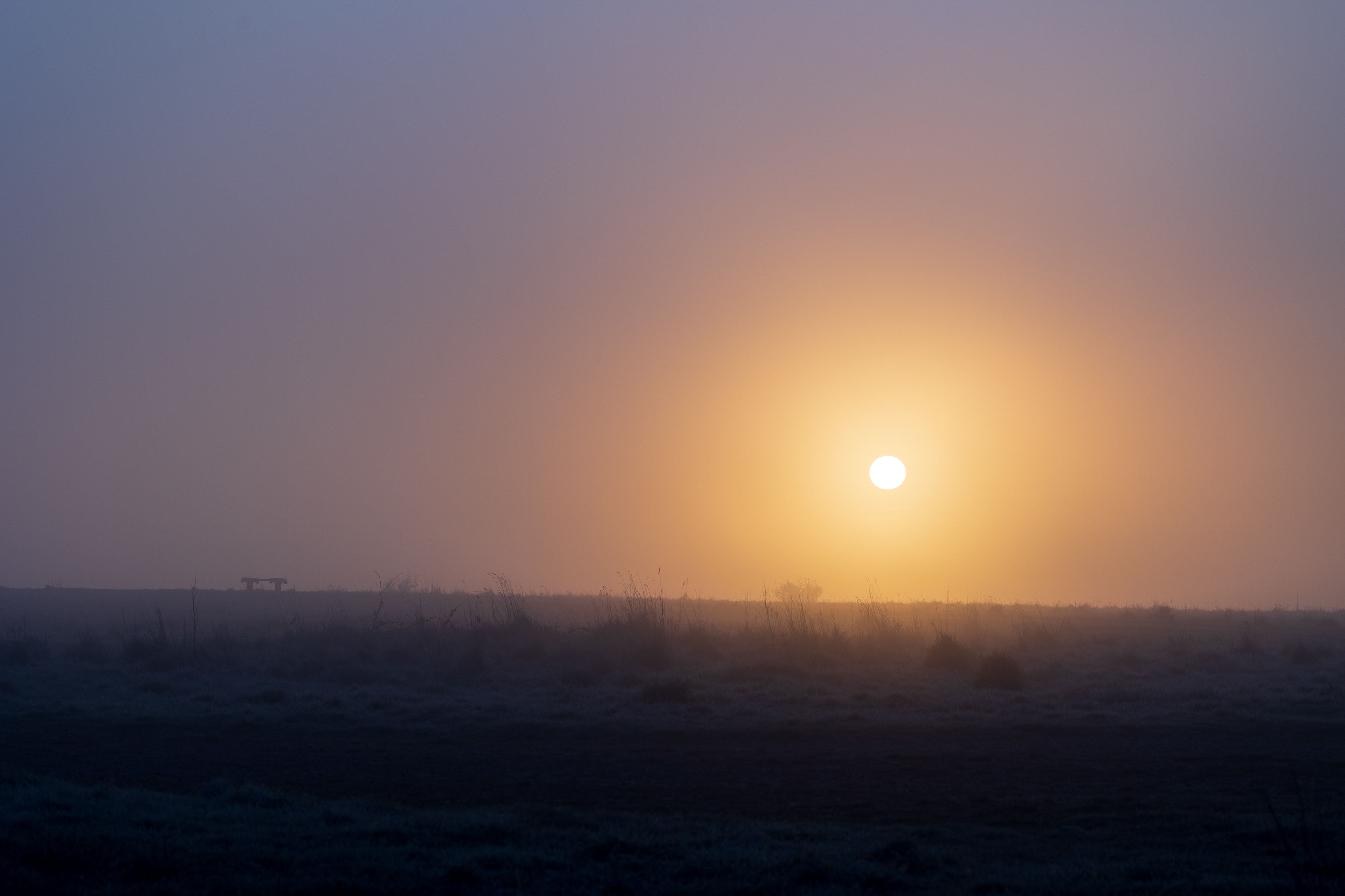 Misty view