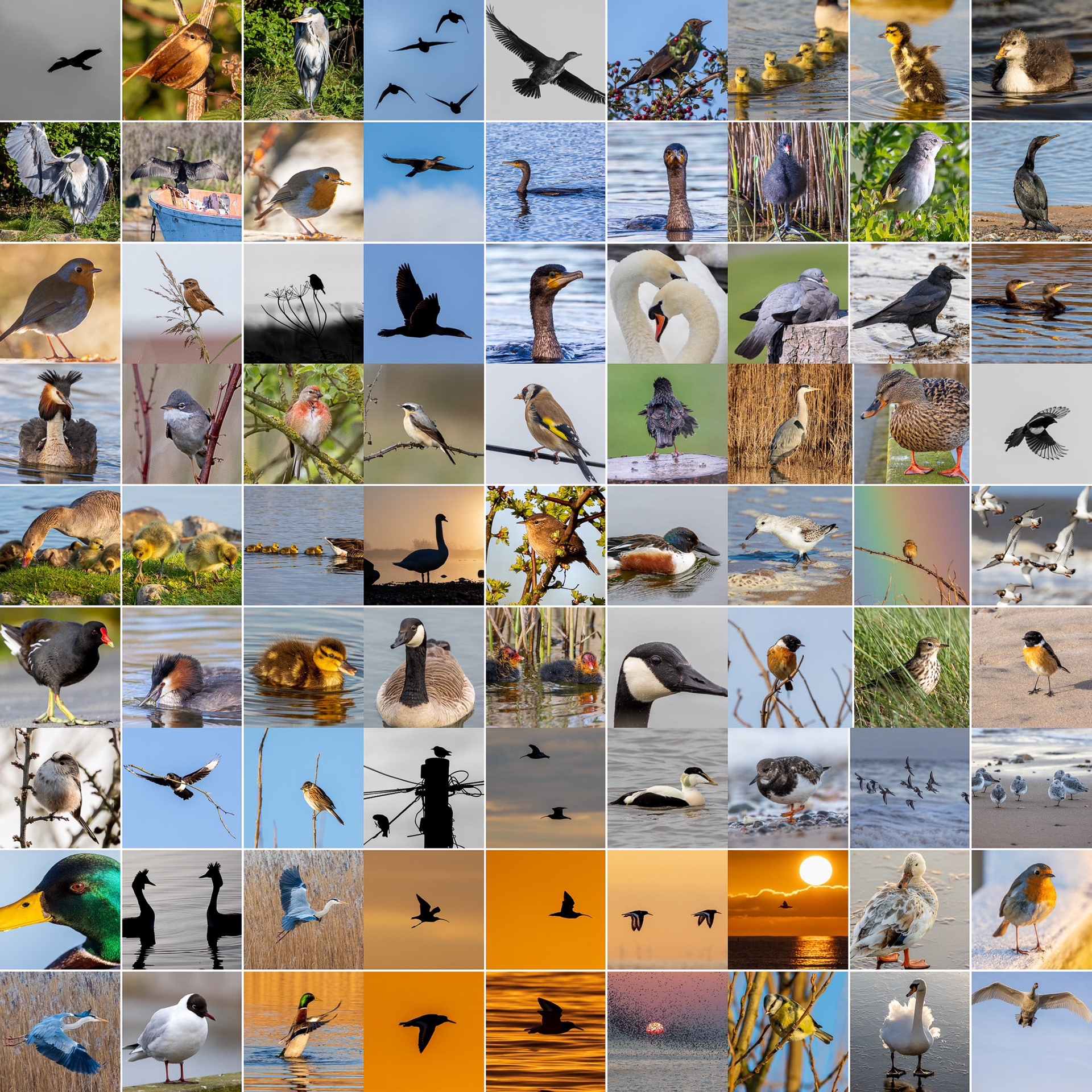 2023 collection