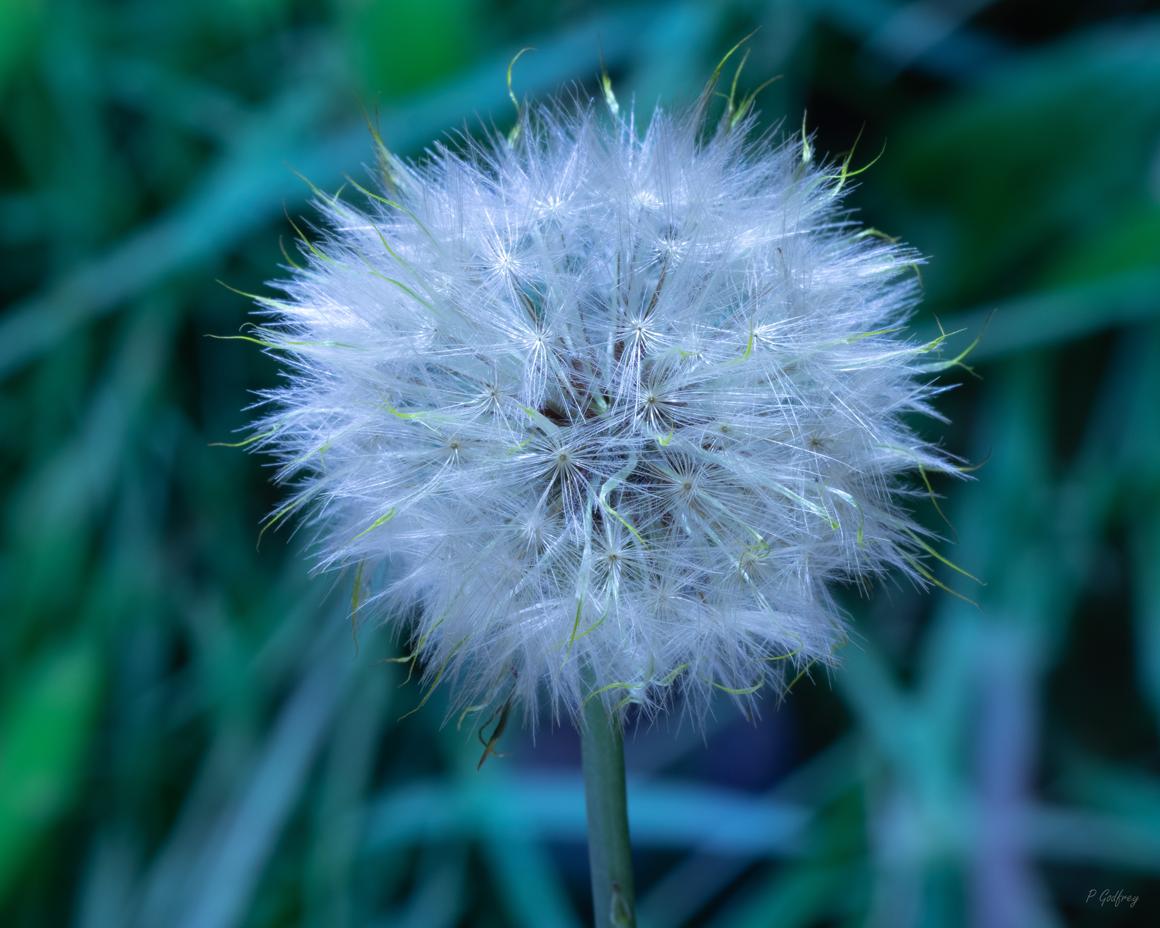 Before the wind blows