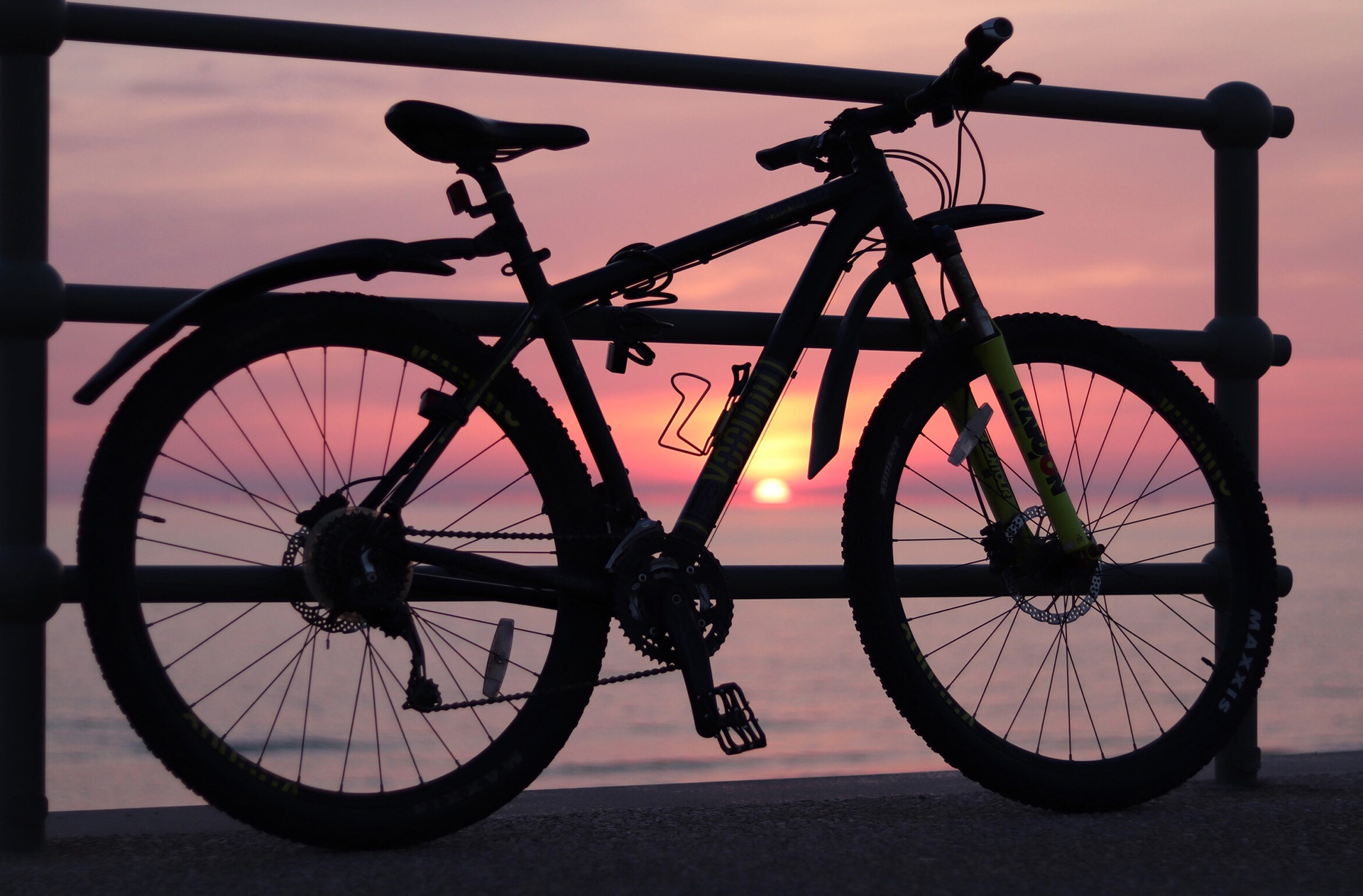 Light cycle