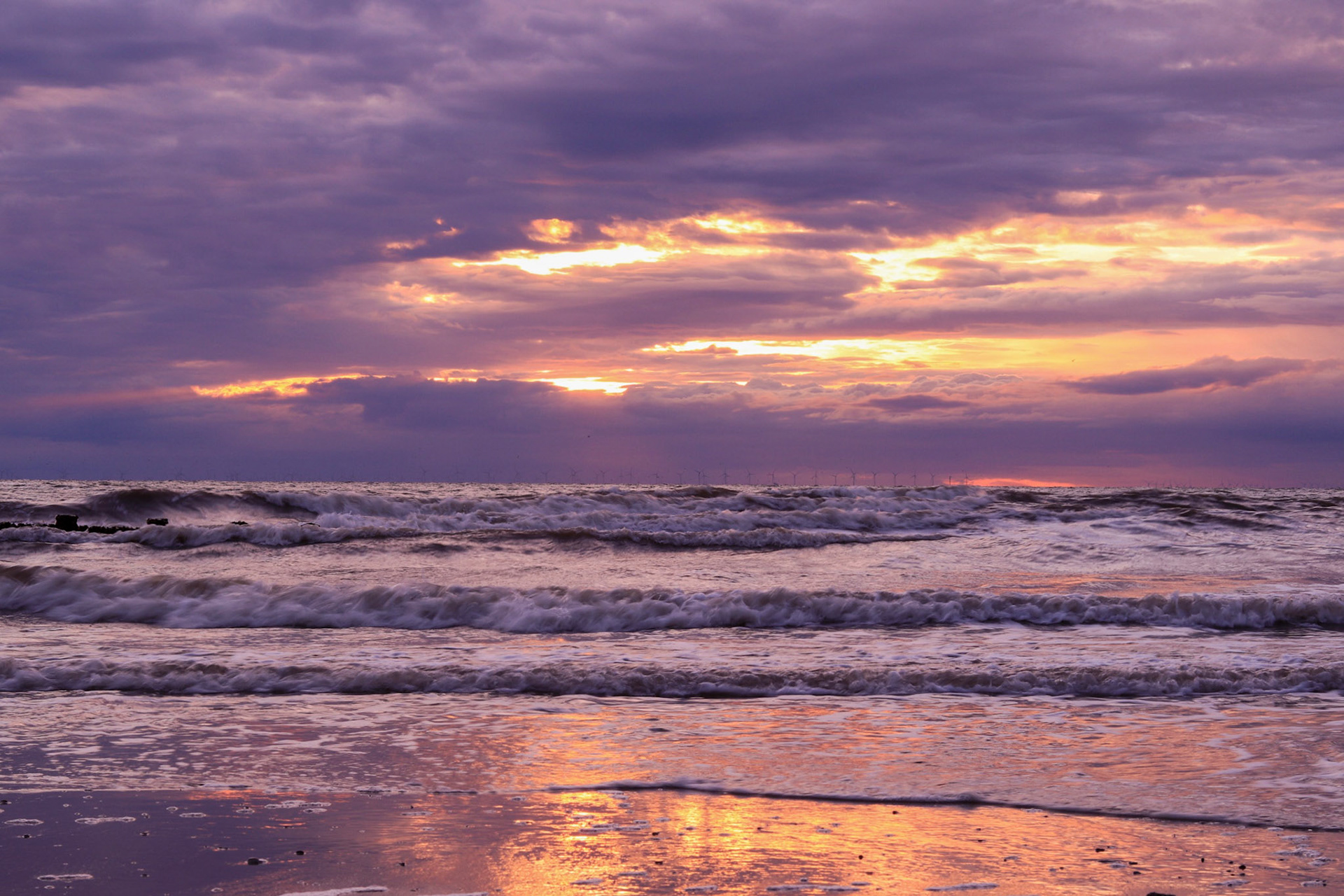 Purple hue