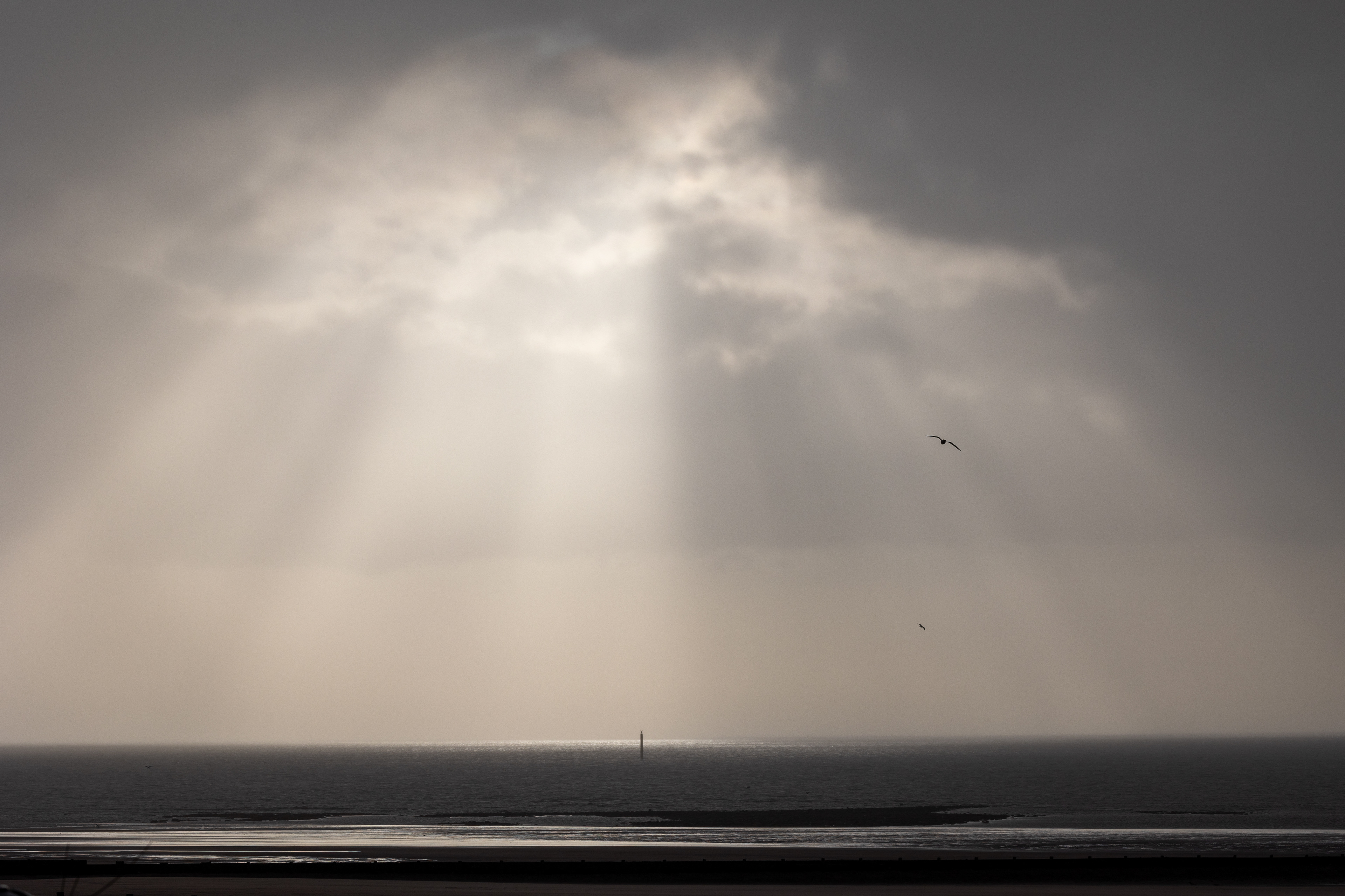 After the storm