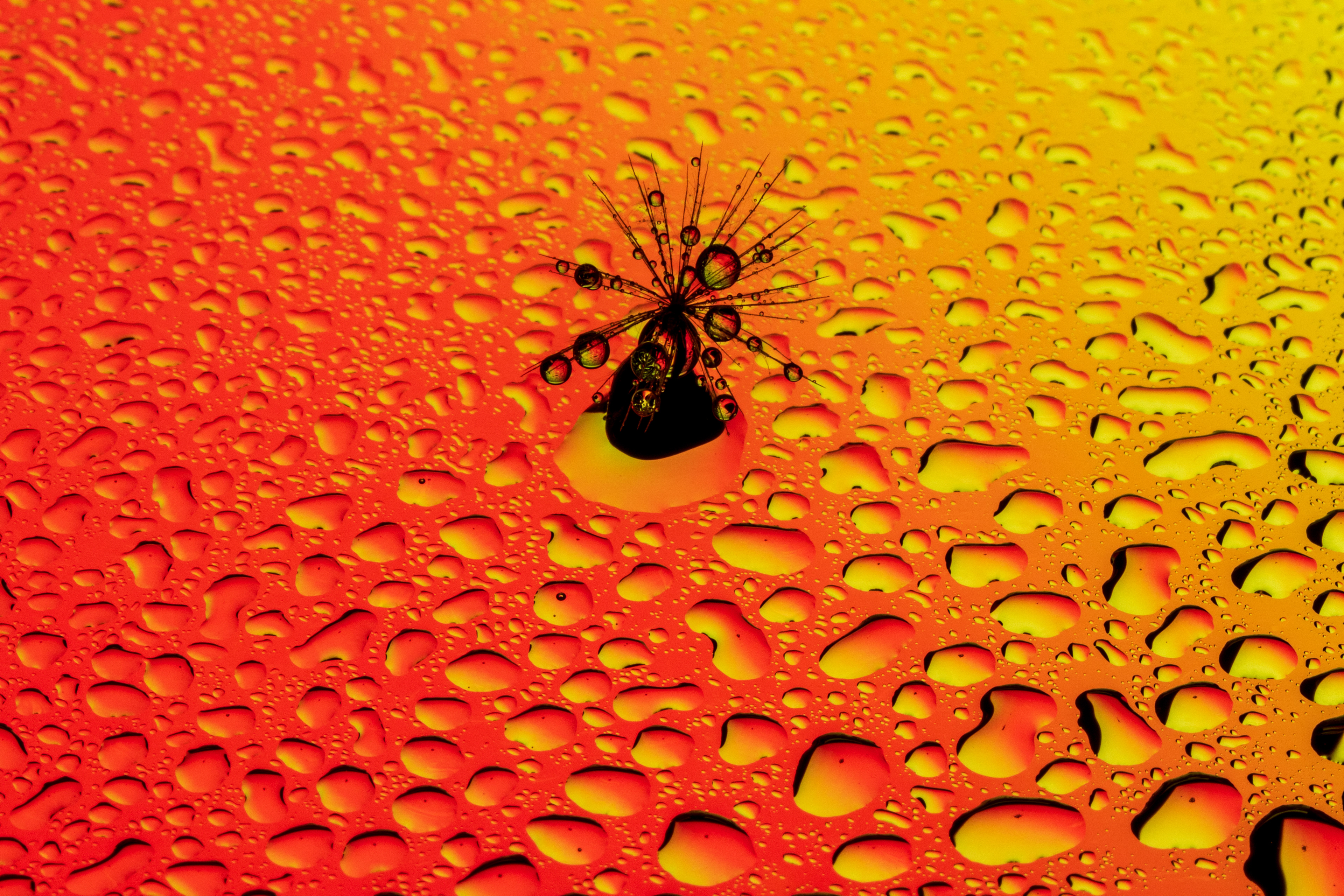 Alien fruit tree