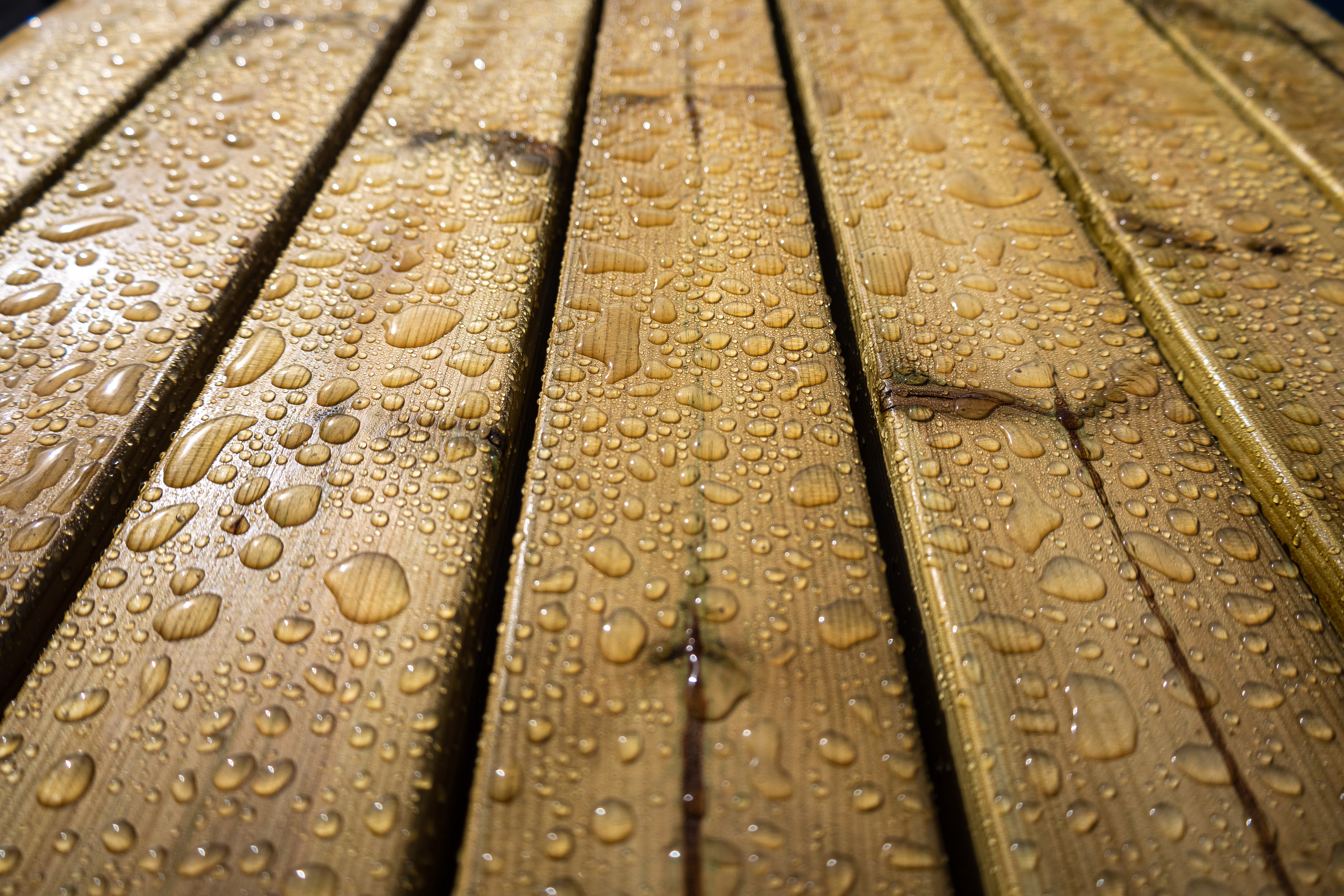 Picnic in the rain