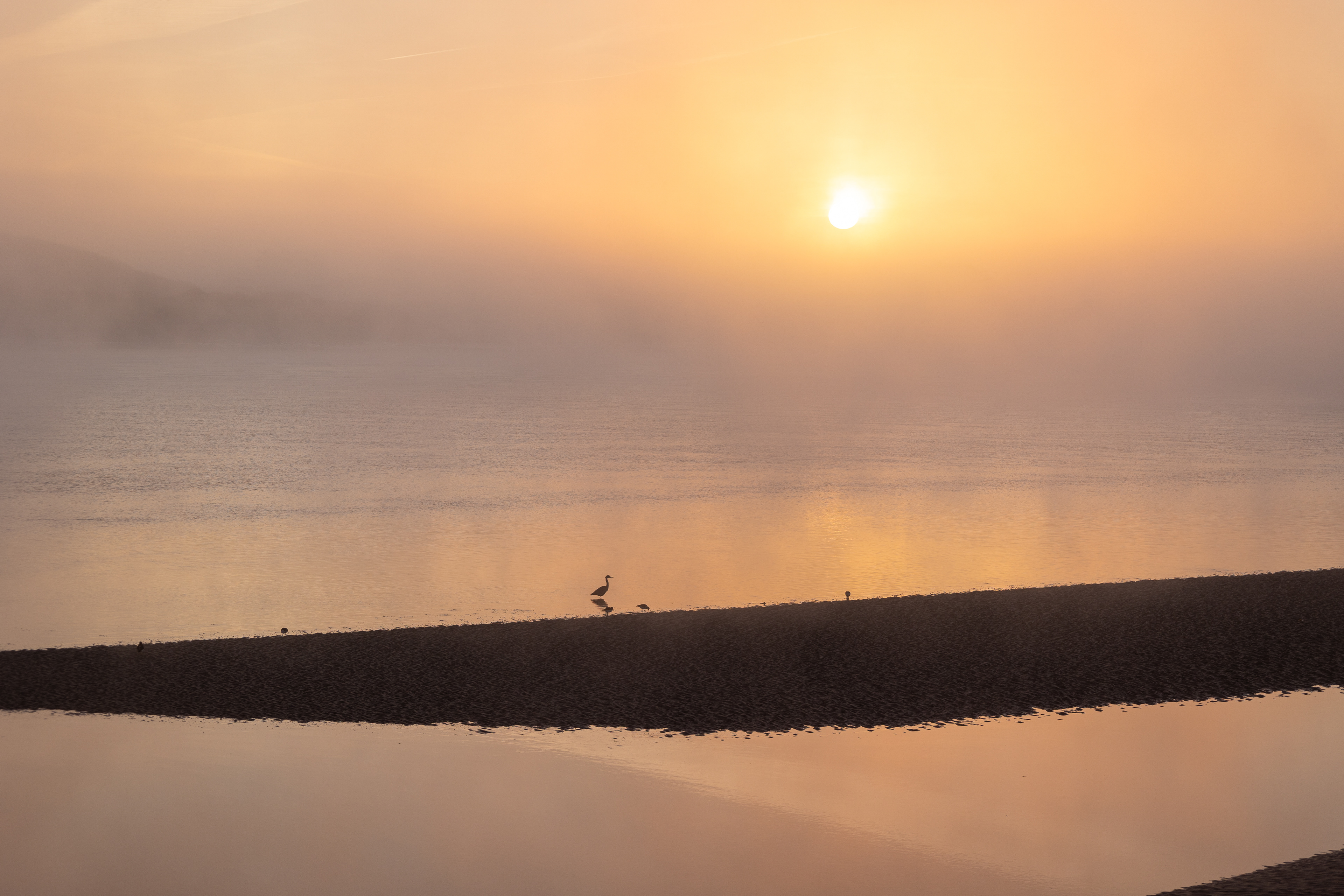 Misty shores