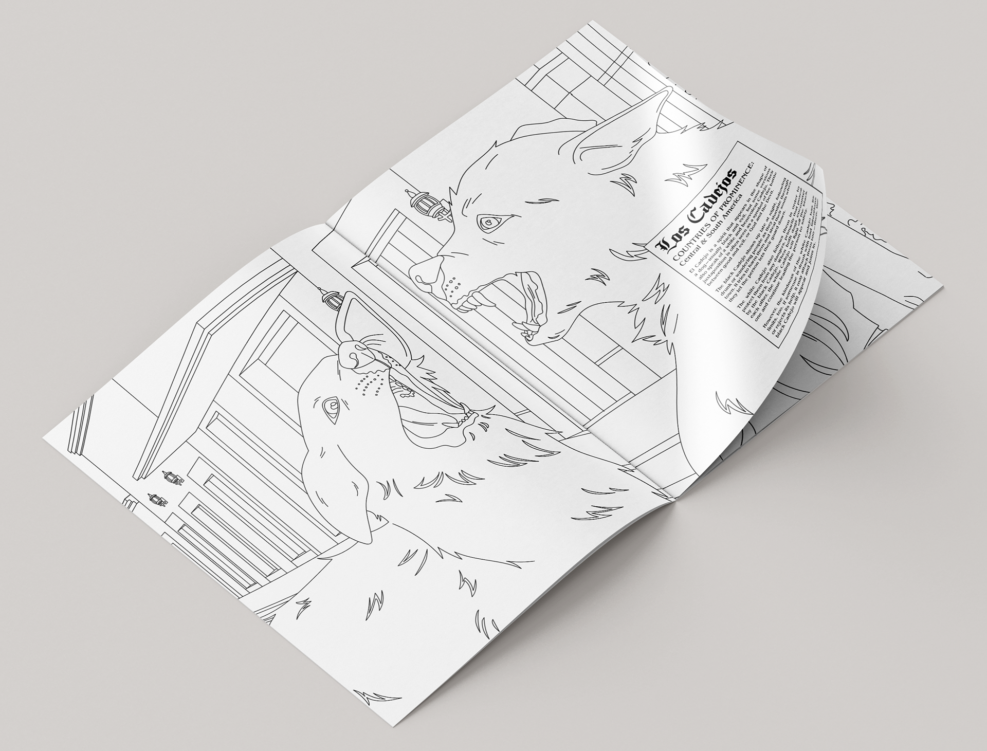 Spread C - Angled View