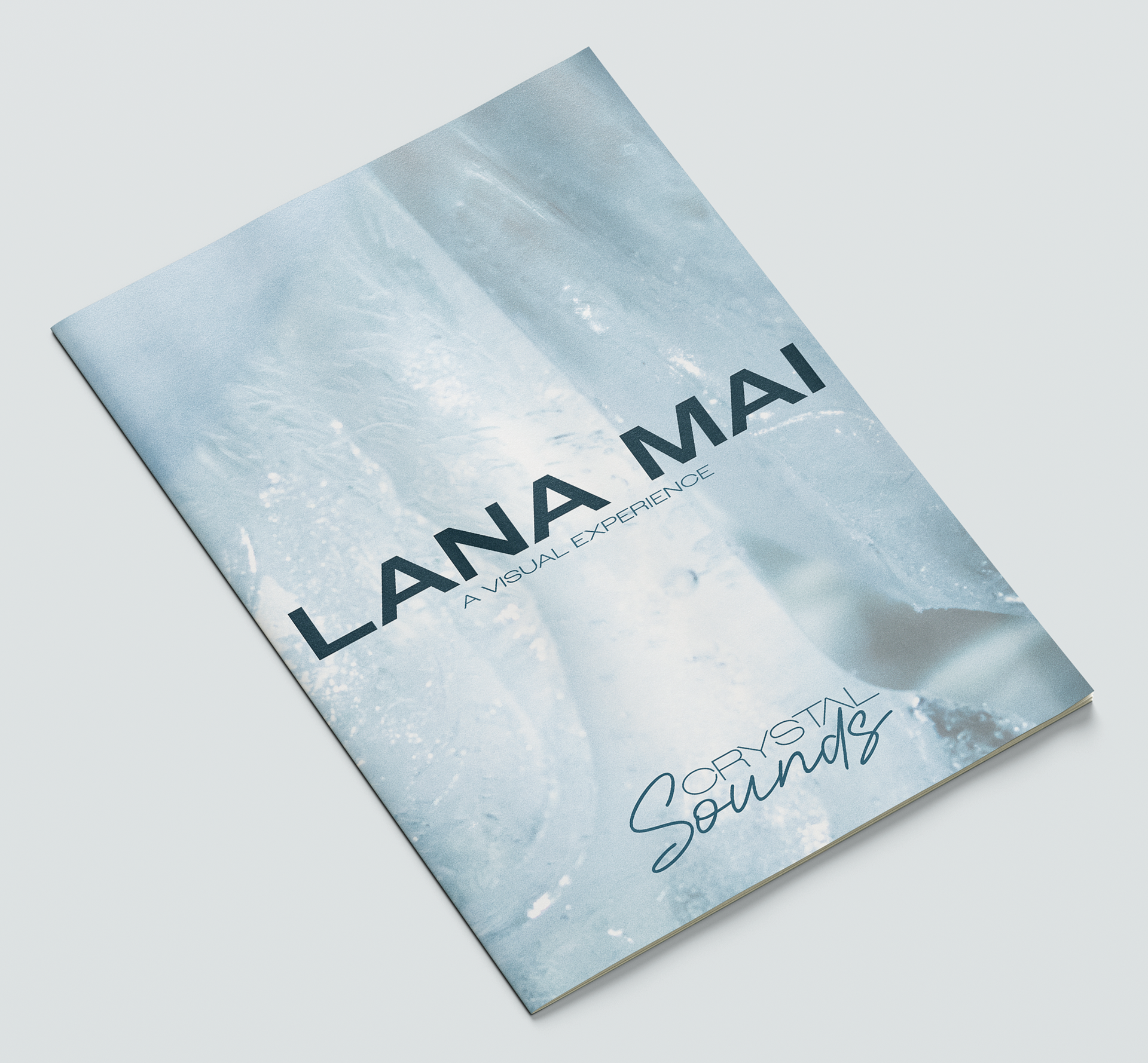 Exhibition Catalog Front Cover - Angled View