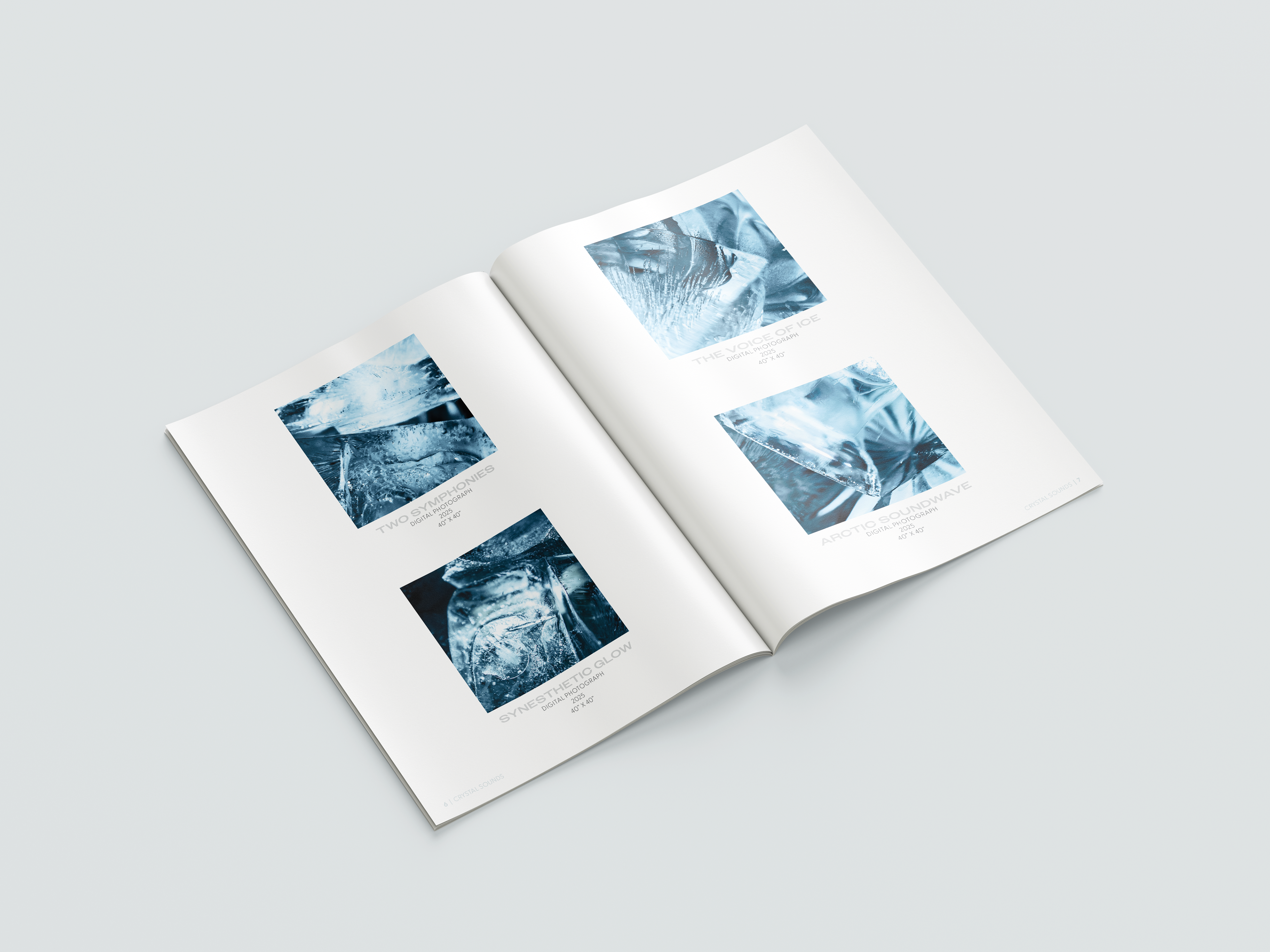 Exhibition Catalog Spread D - Angled View