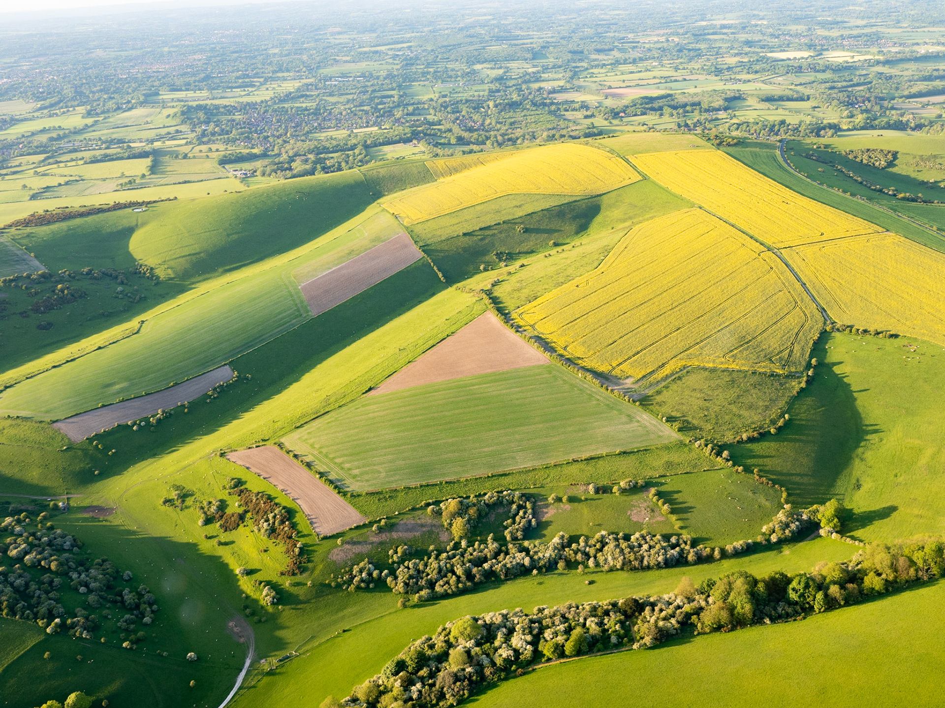 South Downs