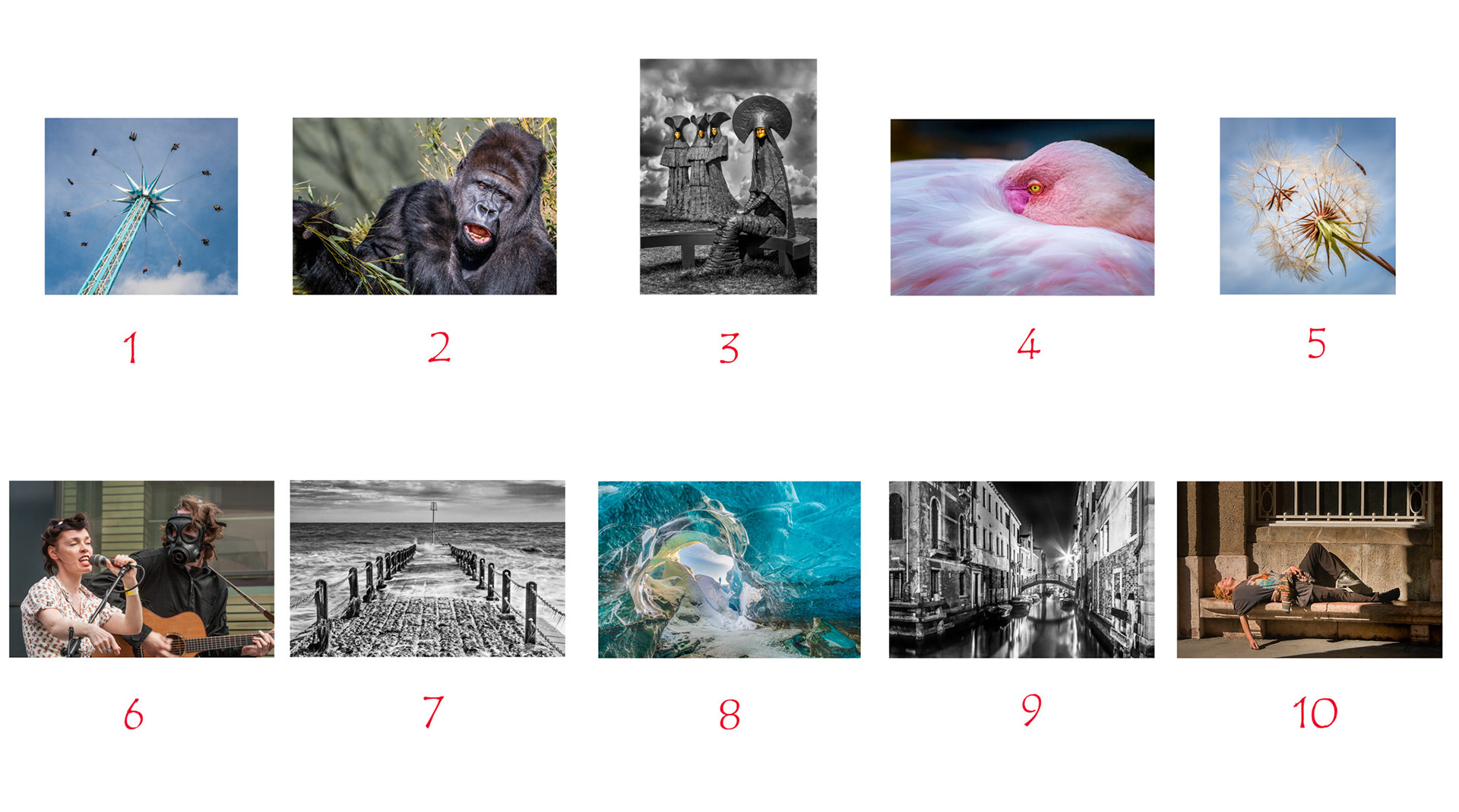 The Final Panel of 10 images