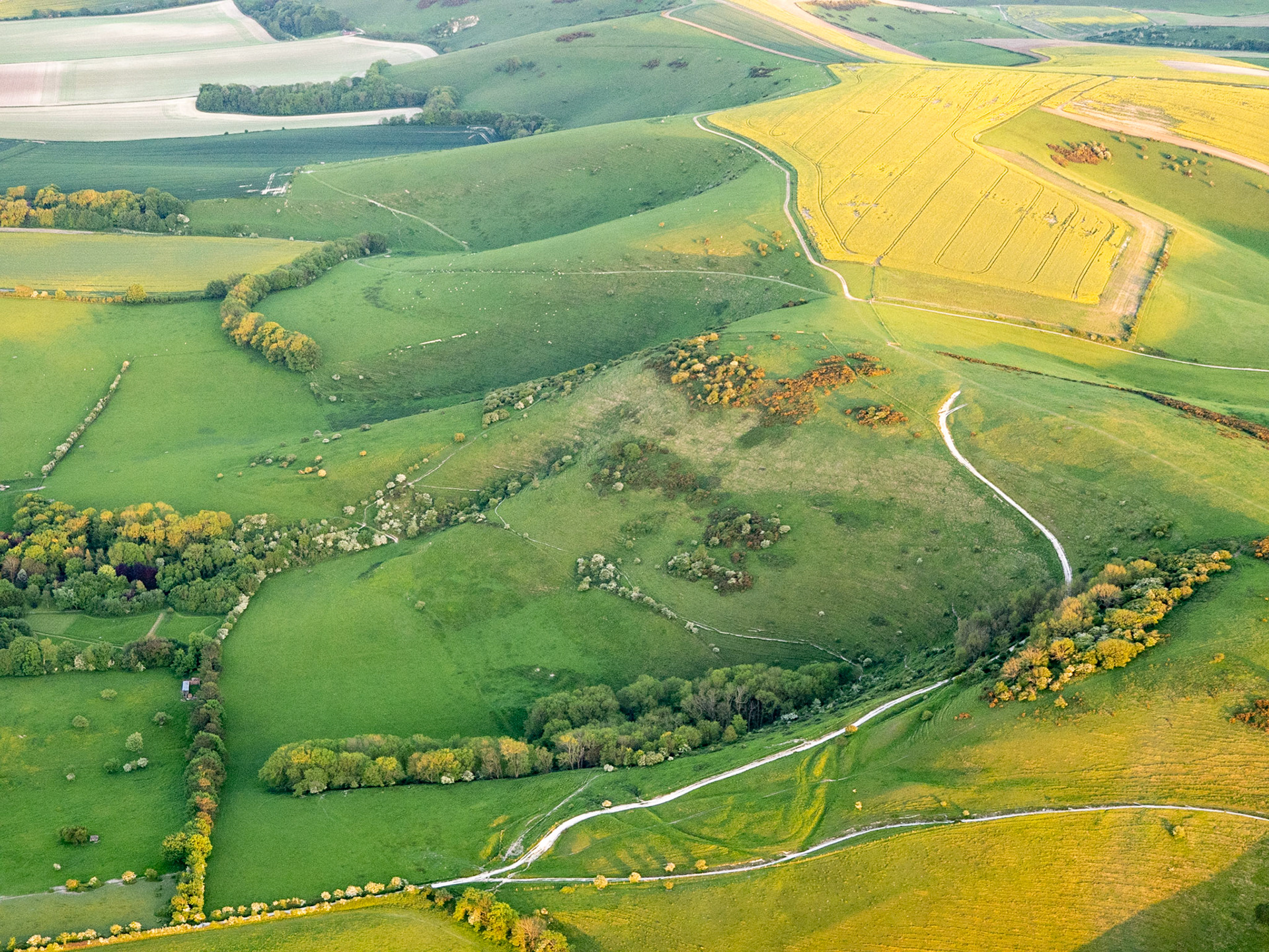 South Downs