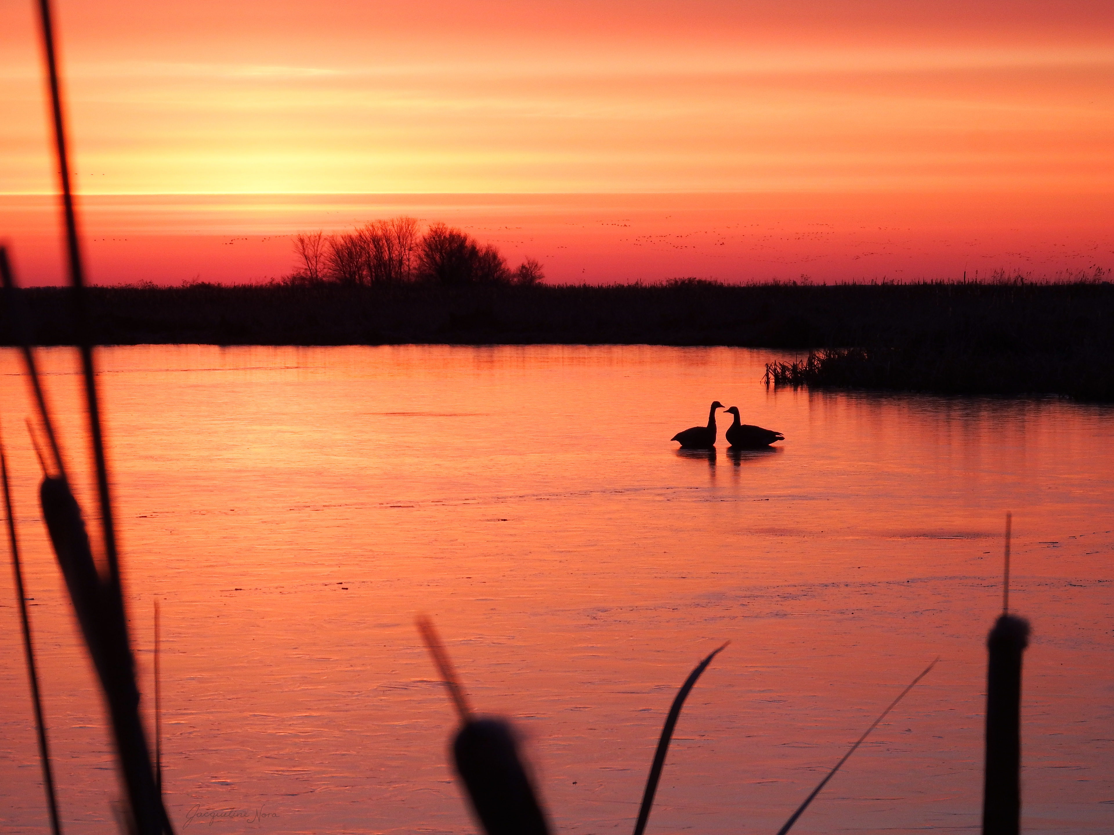 Daybreak at the Marsh