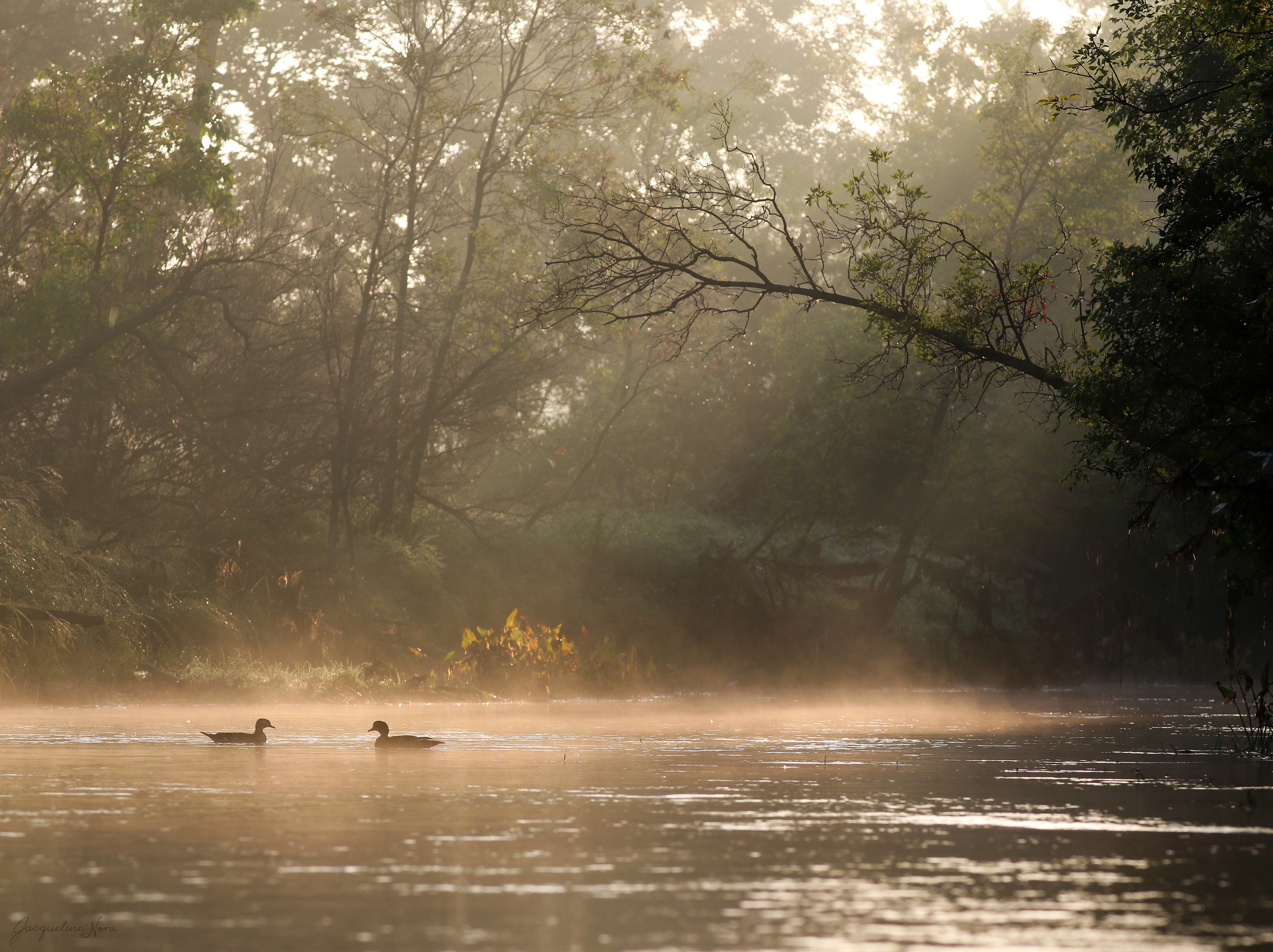 Serene Sunrise