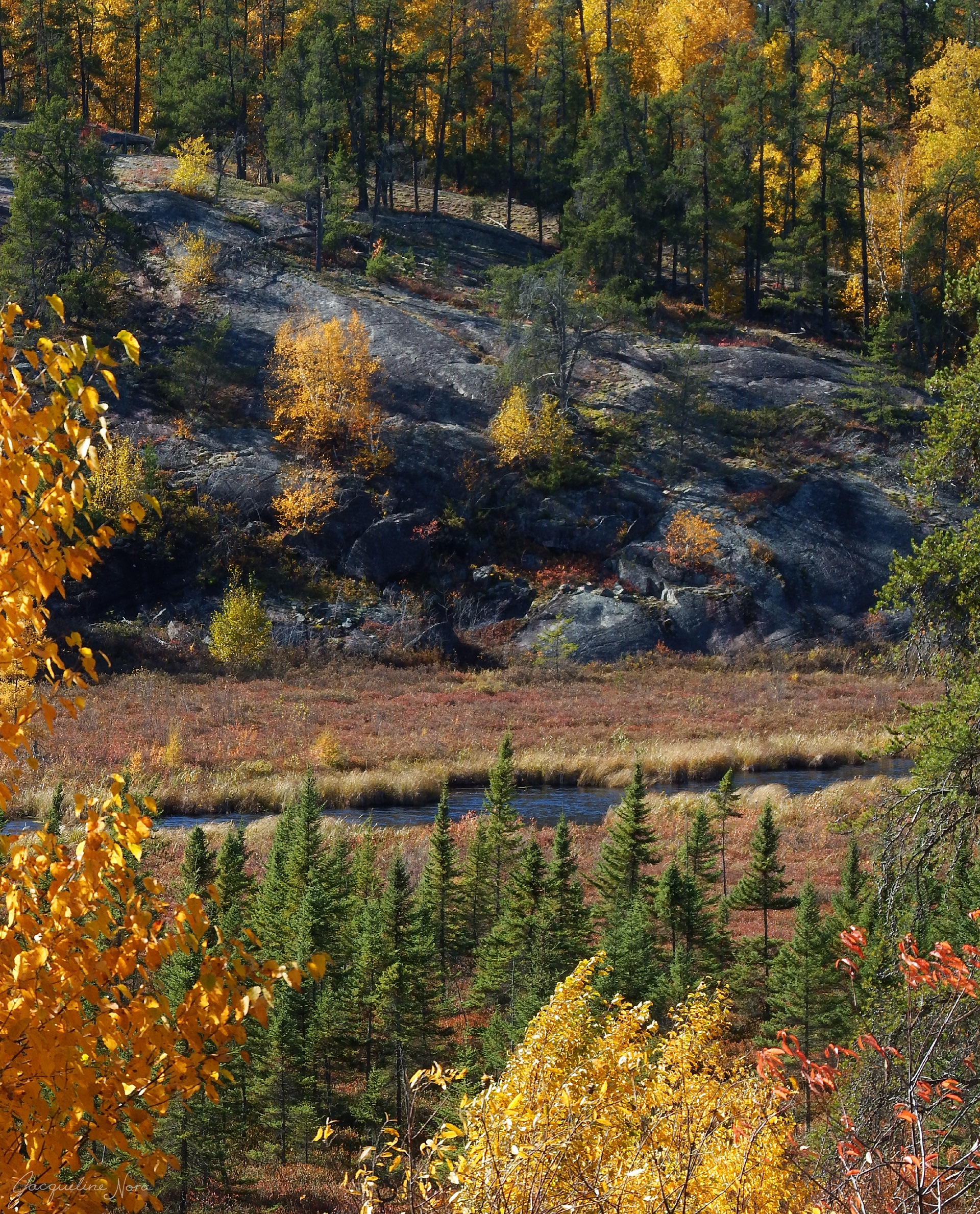 Autumn's Palette