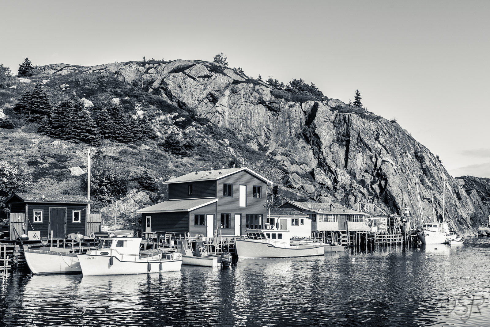 Quidi Vidi Harbour