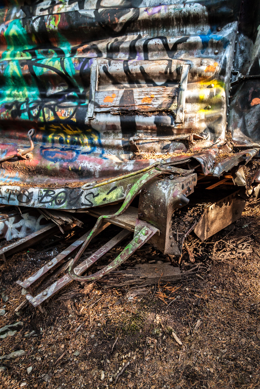 The Train Wreck near Whistler, BC