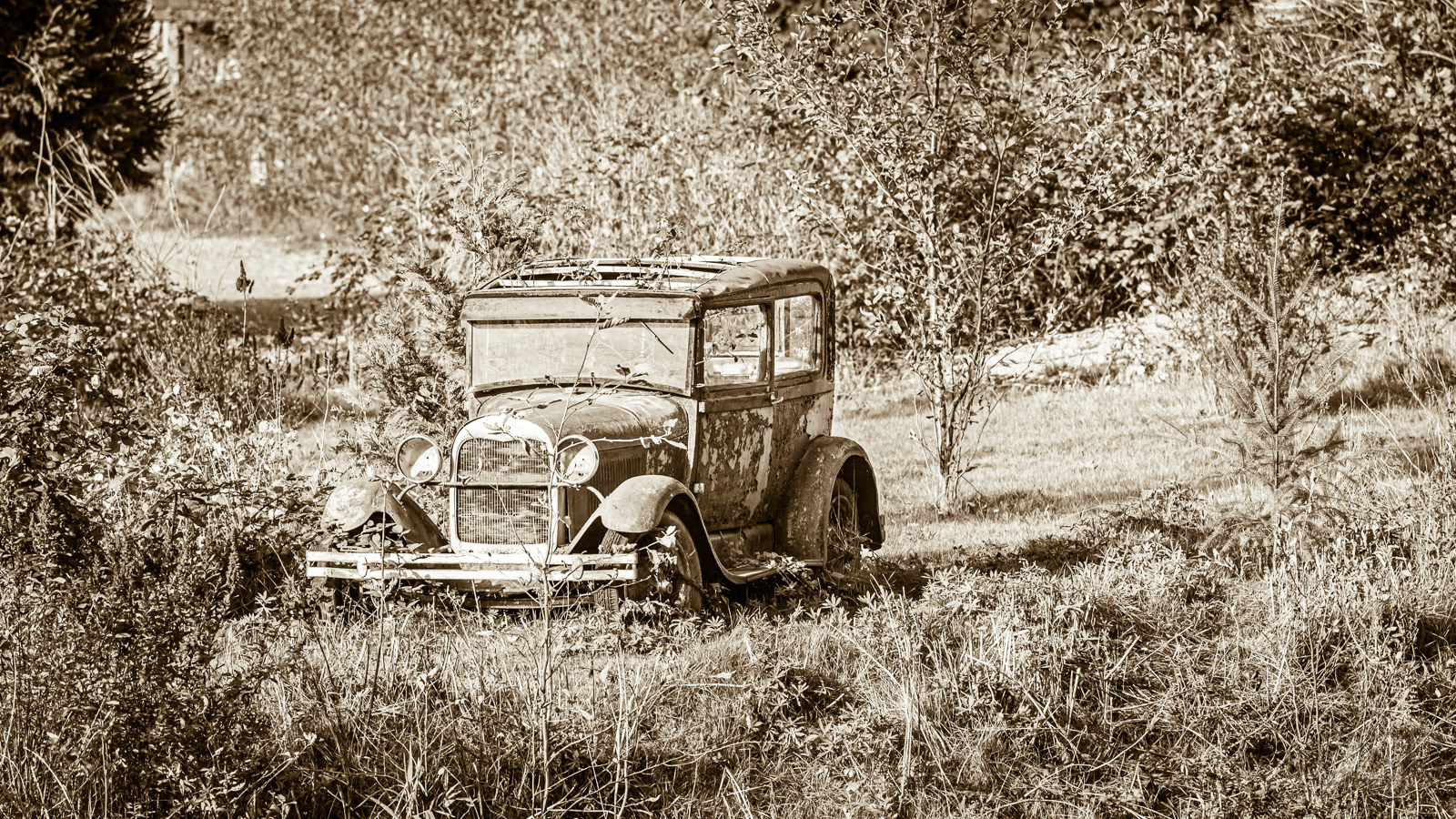 Along the Sea-to-Sky Highway