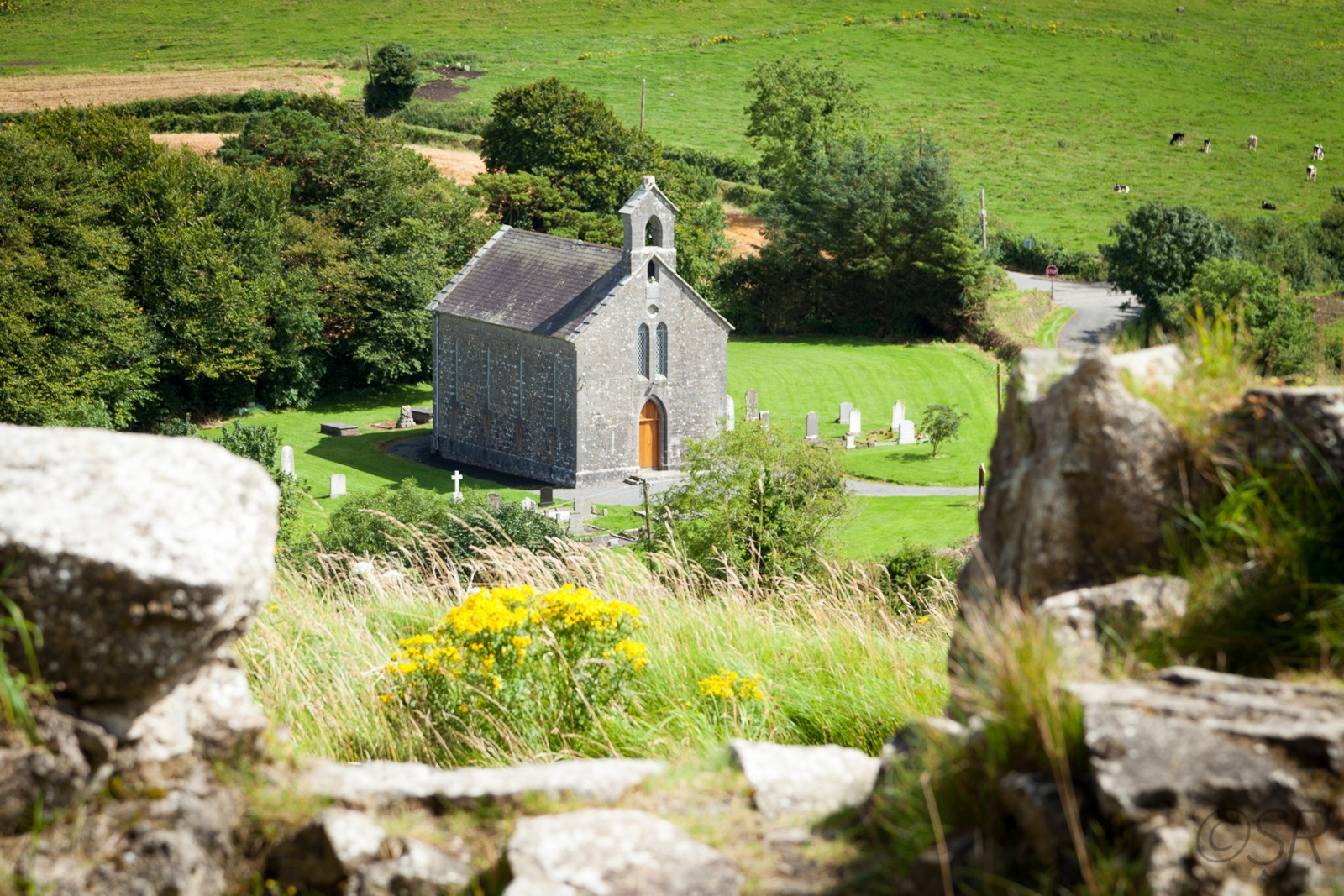 View from Rock of Dunamase, Co. Laois, Ireland
