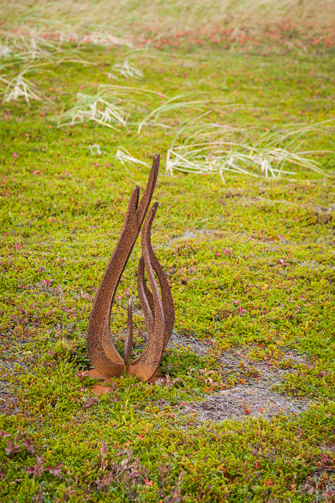 L'Anse aux Meadows National Historic Site