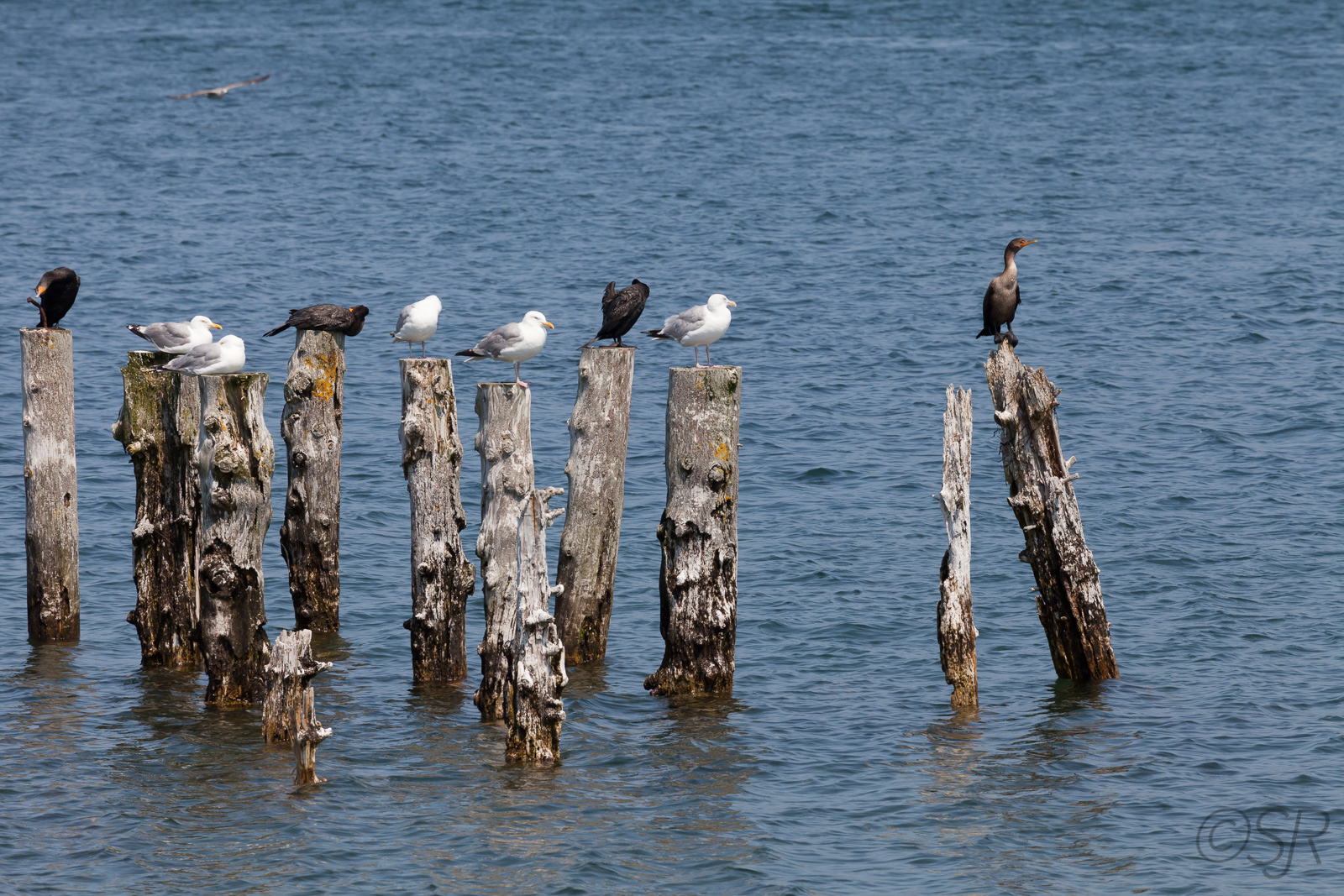 Triverton, Long Island, Digby Neck, NS