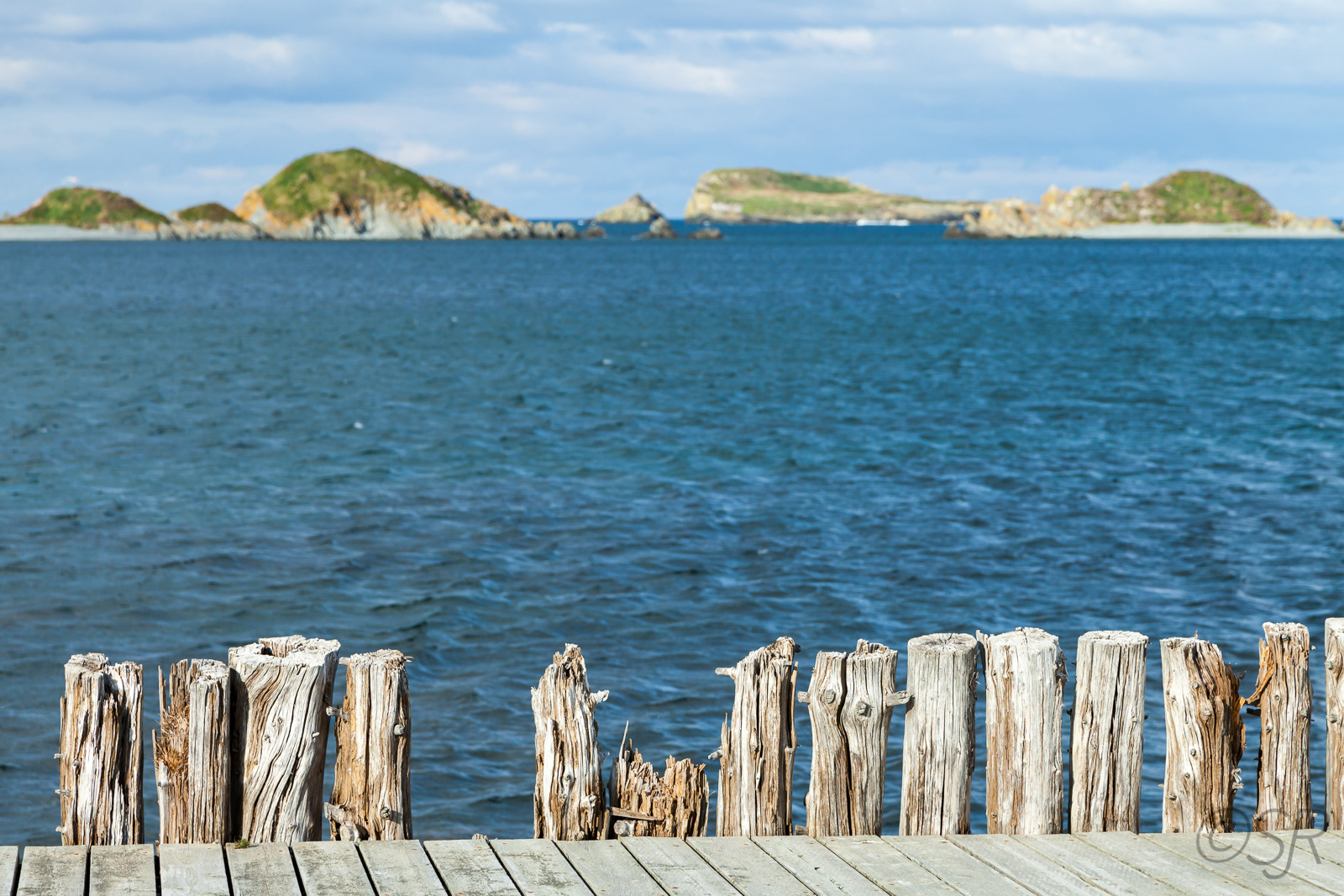 Colony of Avalon, Ferryland