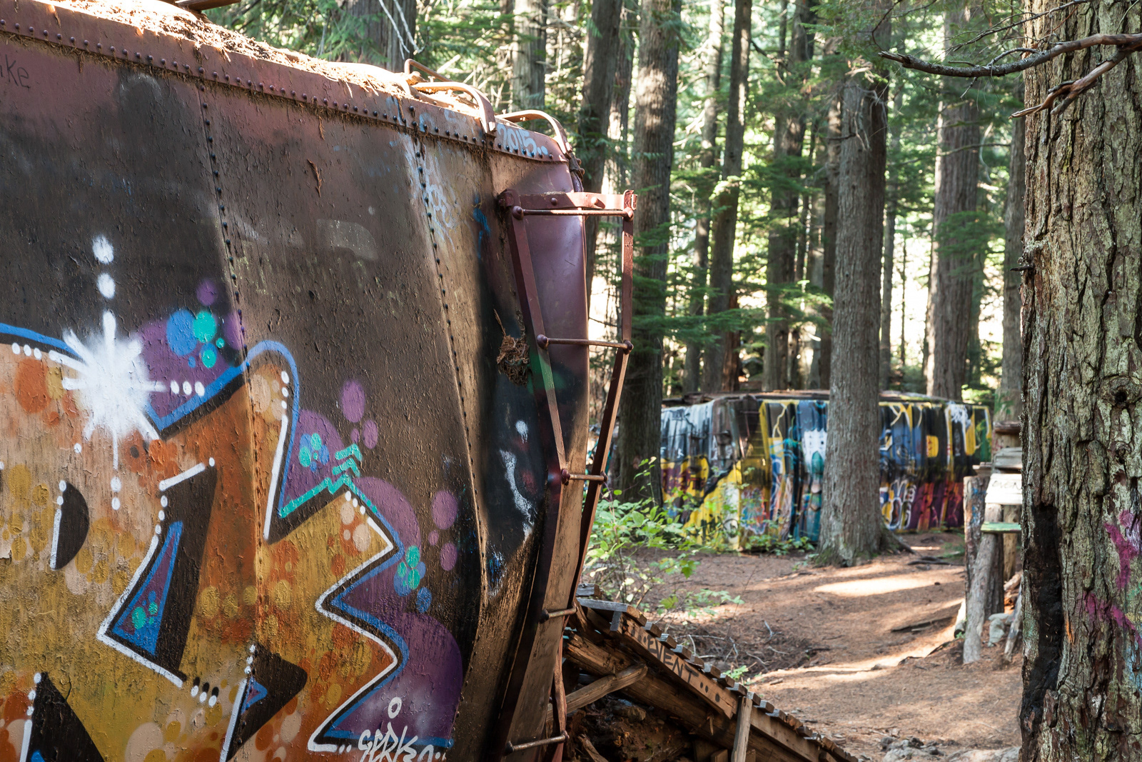 The Train Wreck near Whistler, BC