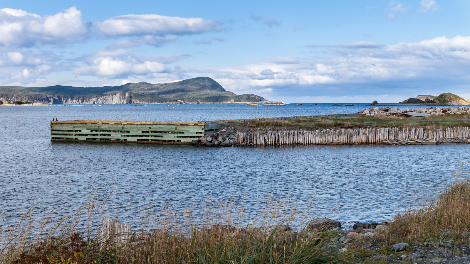  Harbour at Colony of Avalon, Ferryland