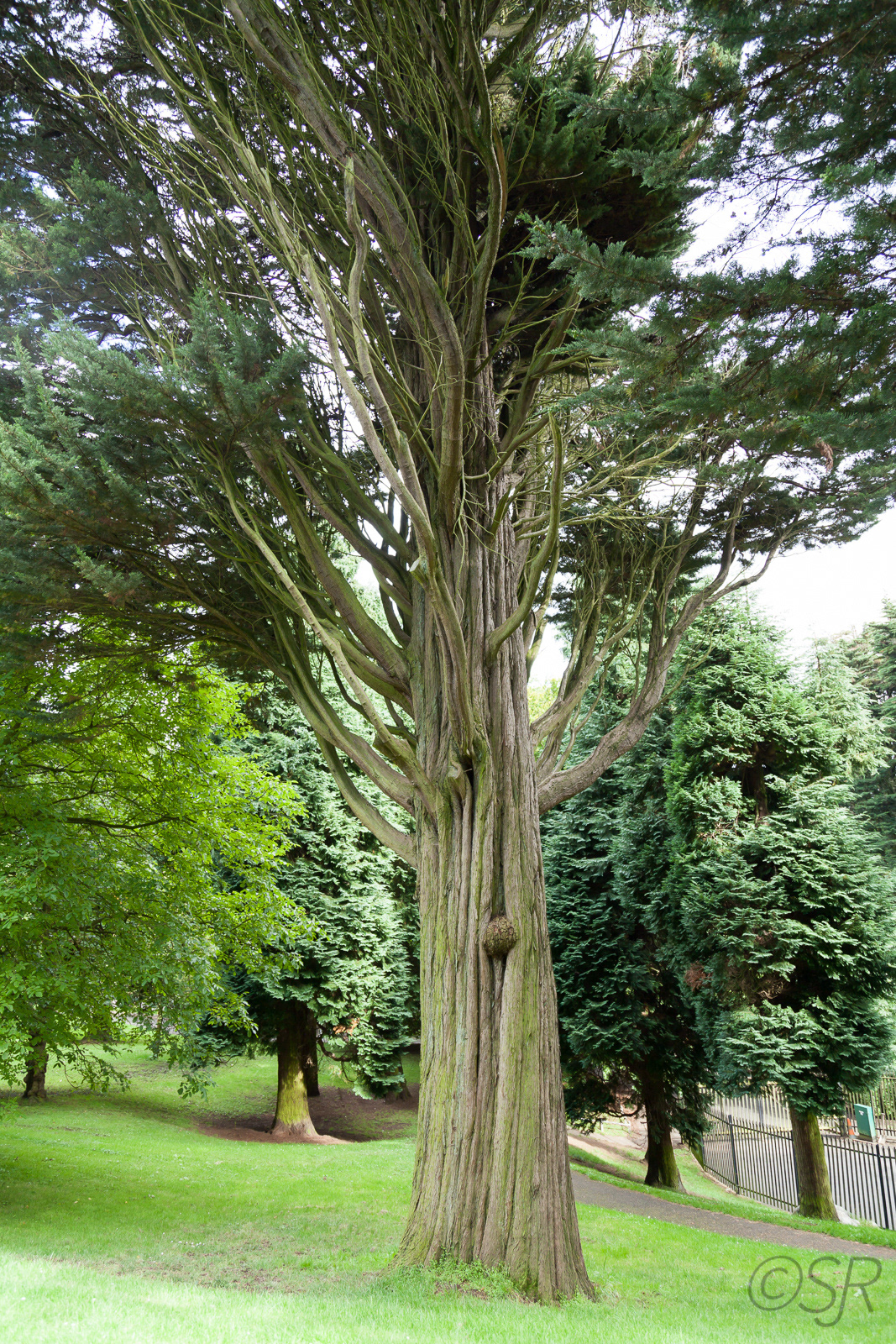 Cave Hill Country Park, Northern Ireland